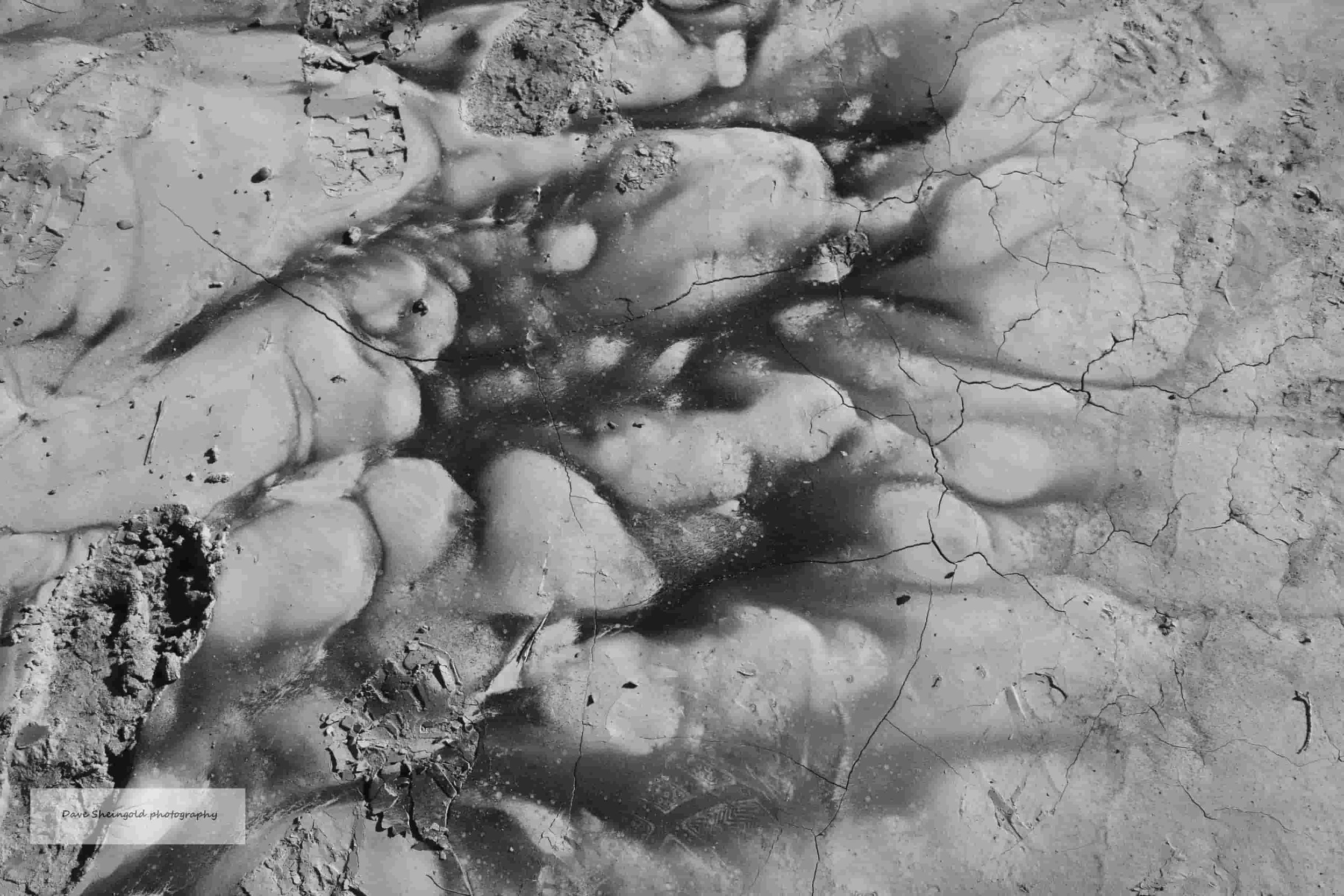 Desert floor, Bisti De-Na-Zin Wilderness, New Mexico