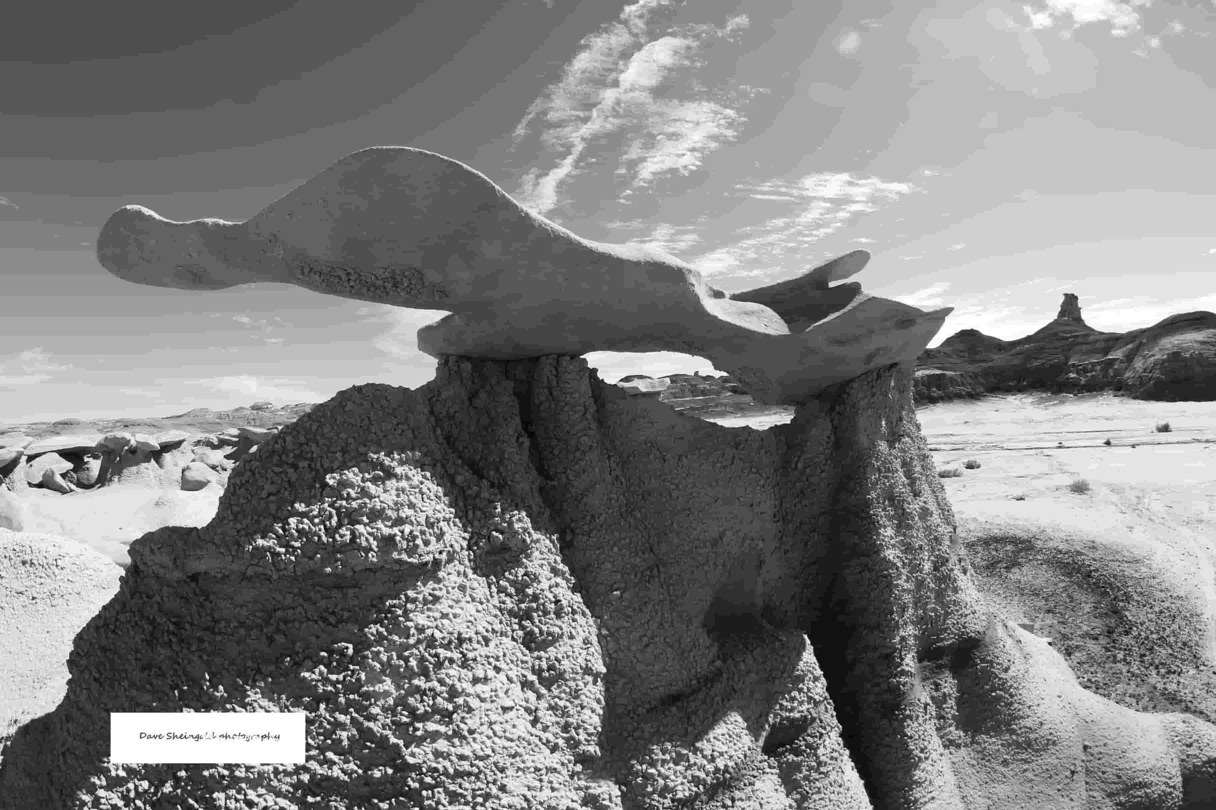 Bisti De-Na-Zin Wilderness, New Mexico