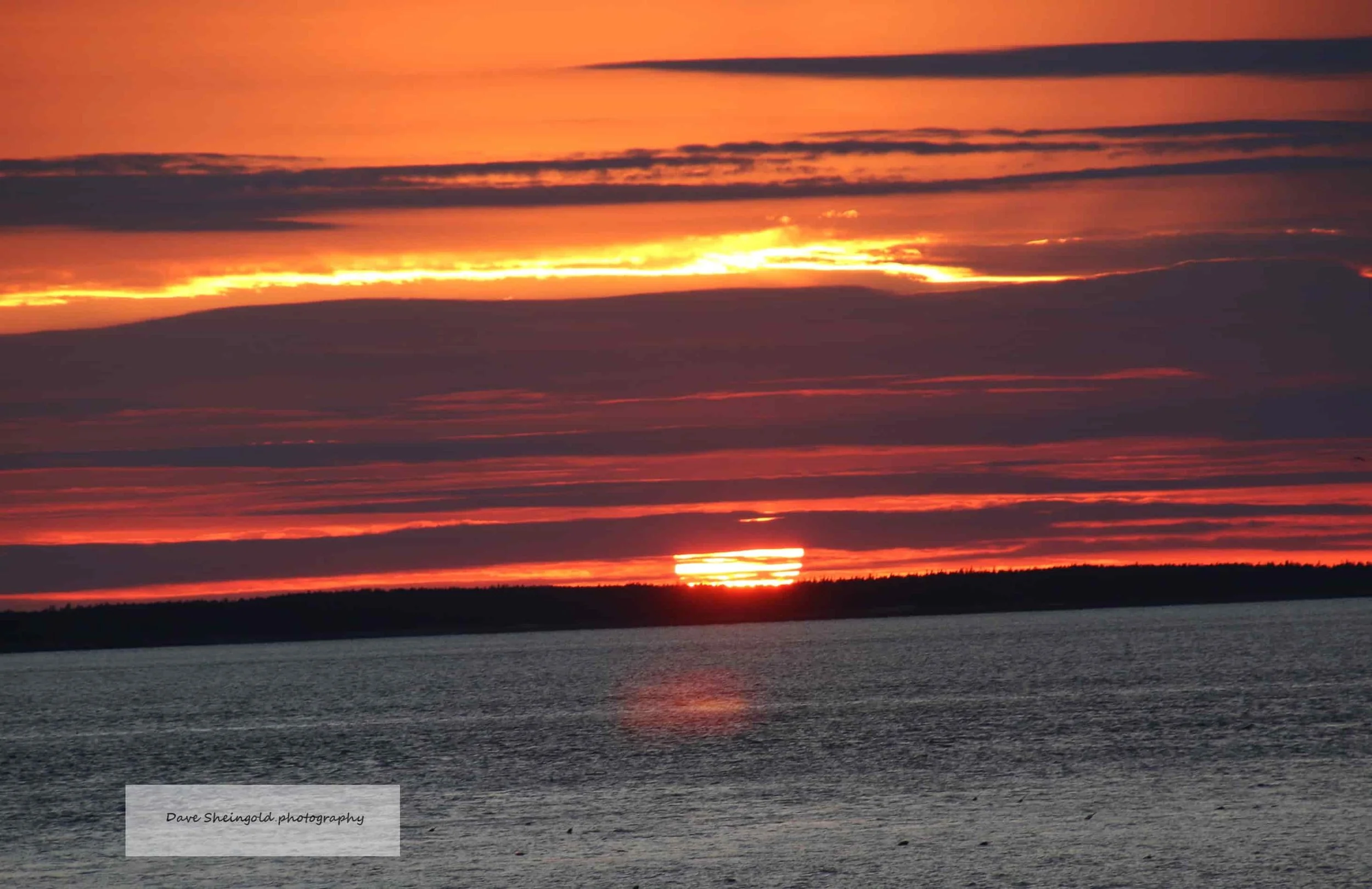 Maine sunset