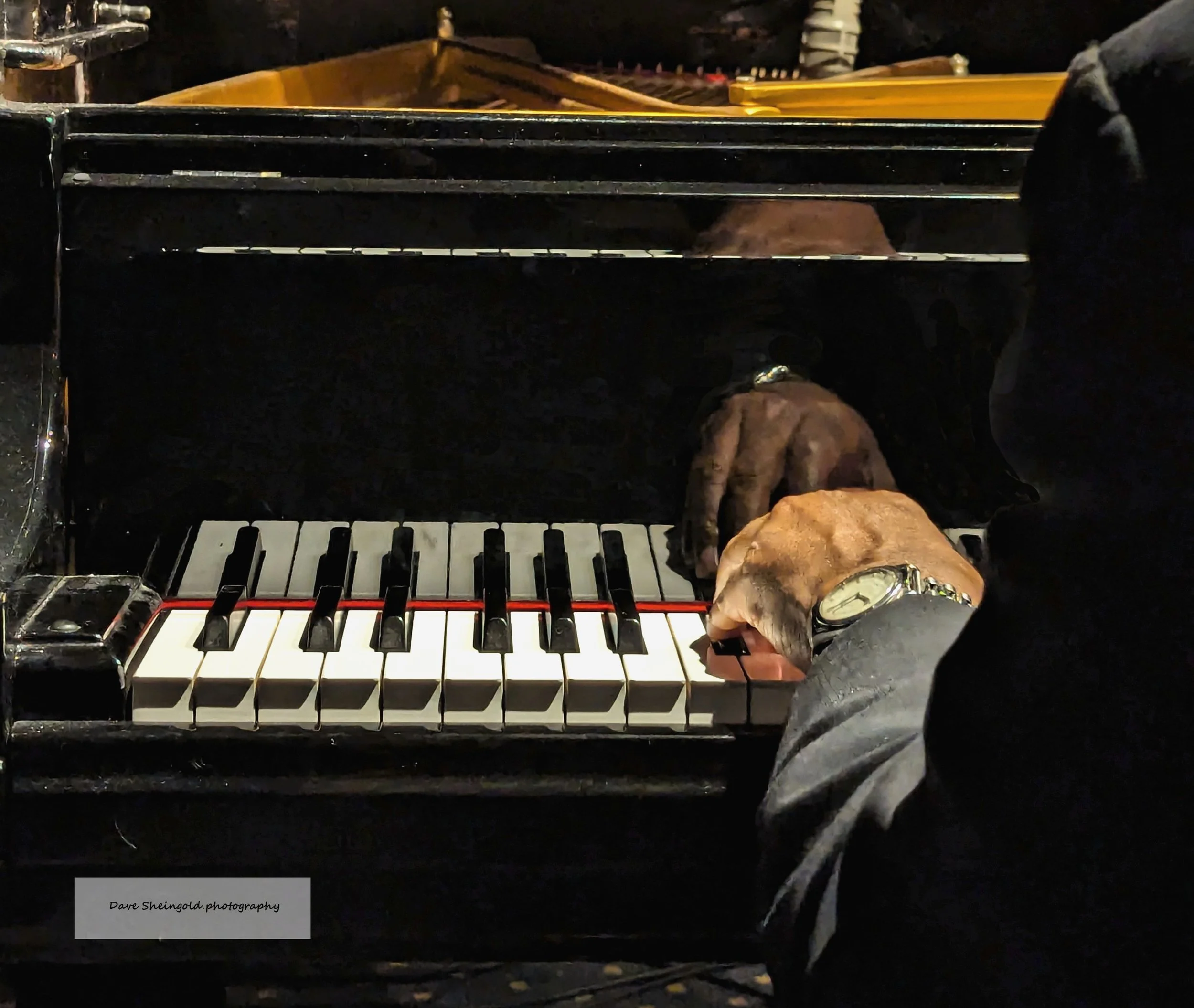 Piano hand