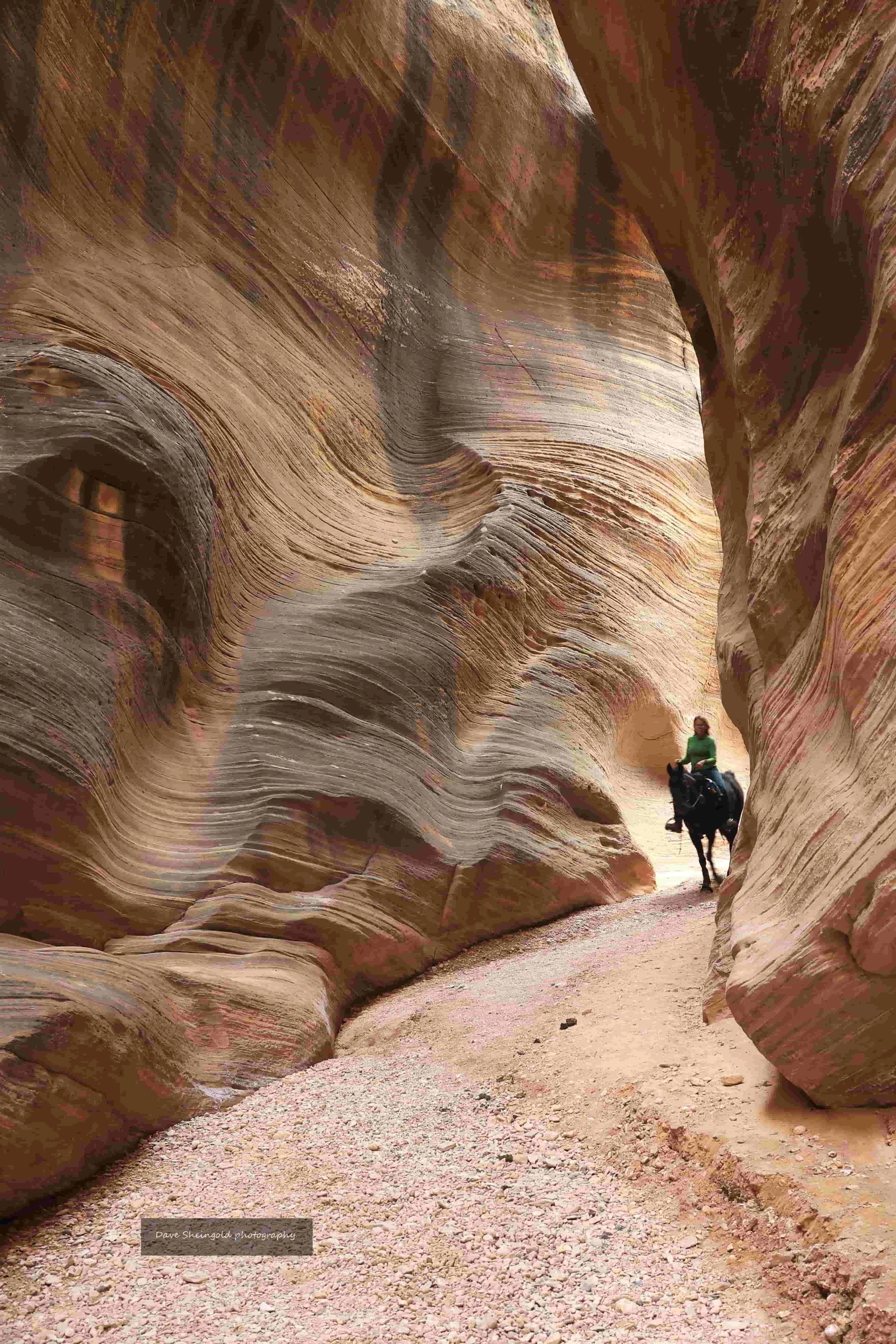 Willis Creek slot canyon, Grand Staircase Escalante National Monument, Utah