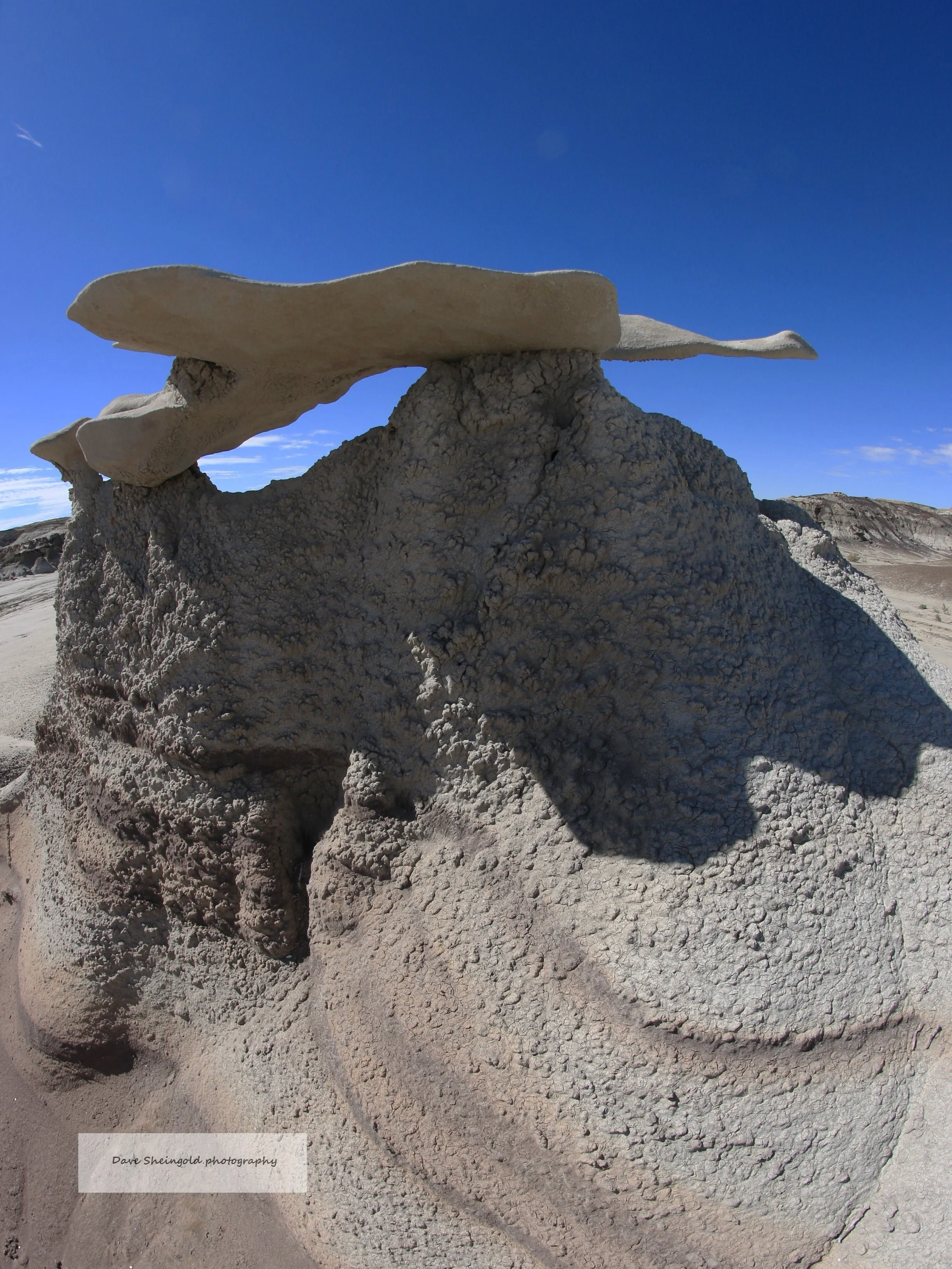 Bisti De-Na-Zin Wilderness, New Mexico