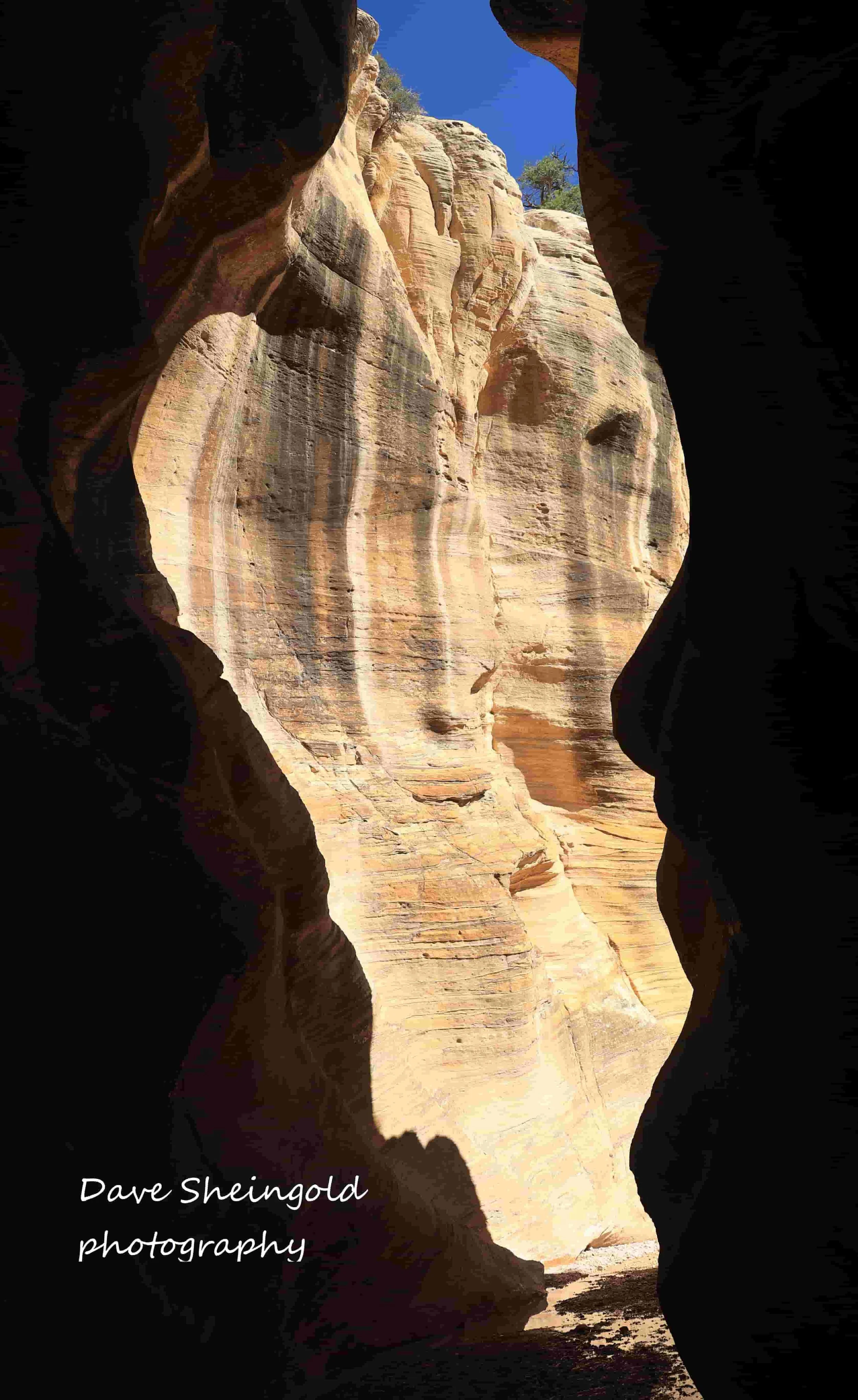 Willis Creek slot canyon, Grand Staircase Escalante National Monument, Utah