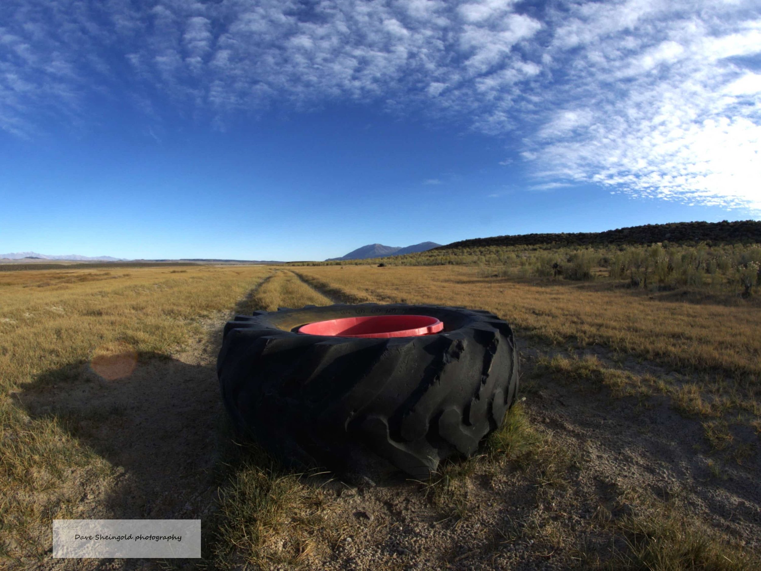 Tire in the Road - Somewhere off US 395, Inyo County, CA