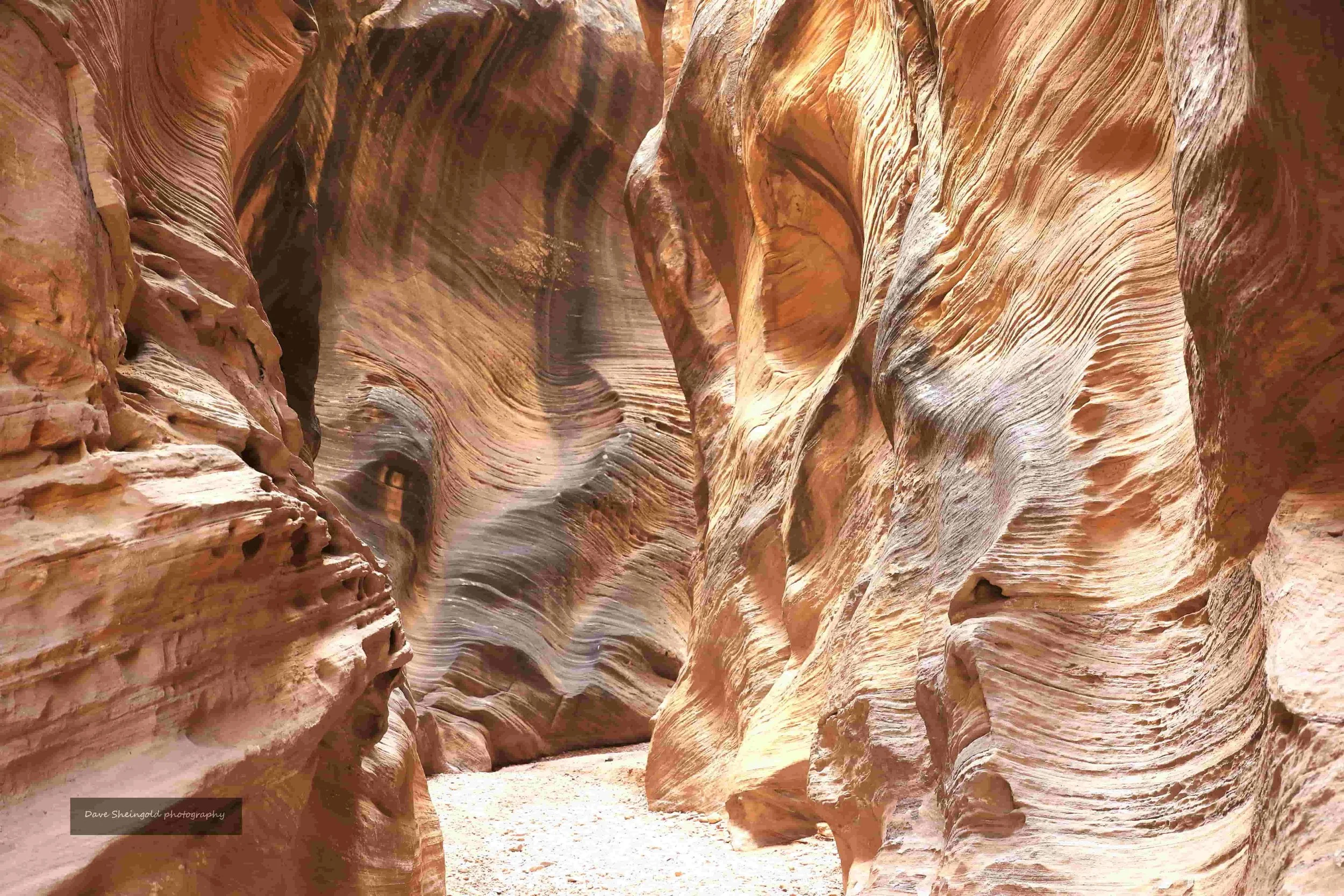 Willis Creek slot canyon, Grand Staircase Escalante National Monument, Utah