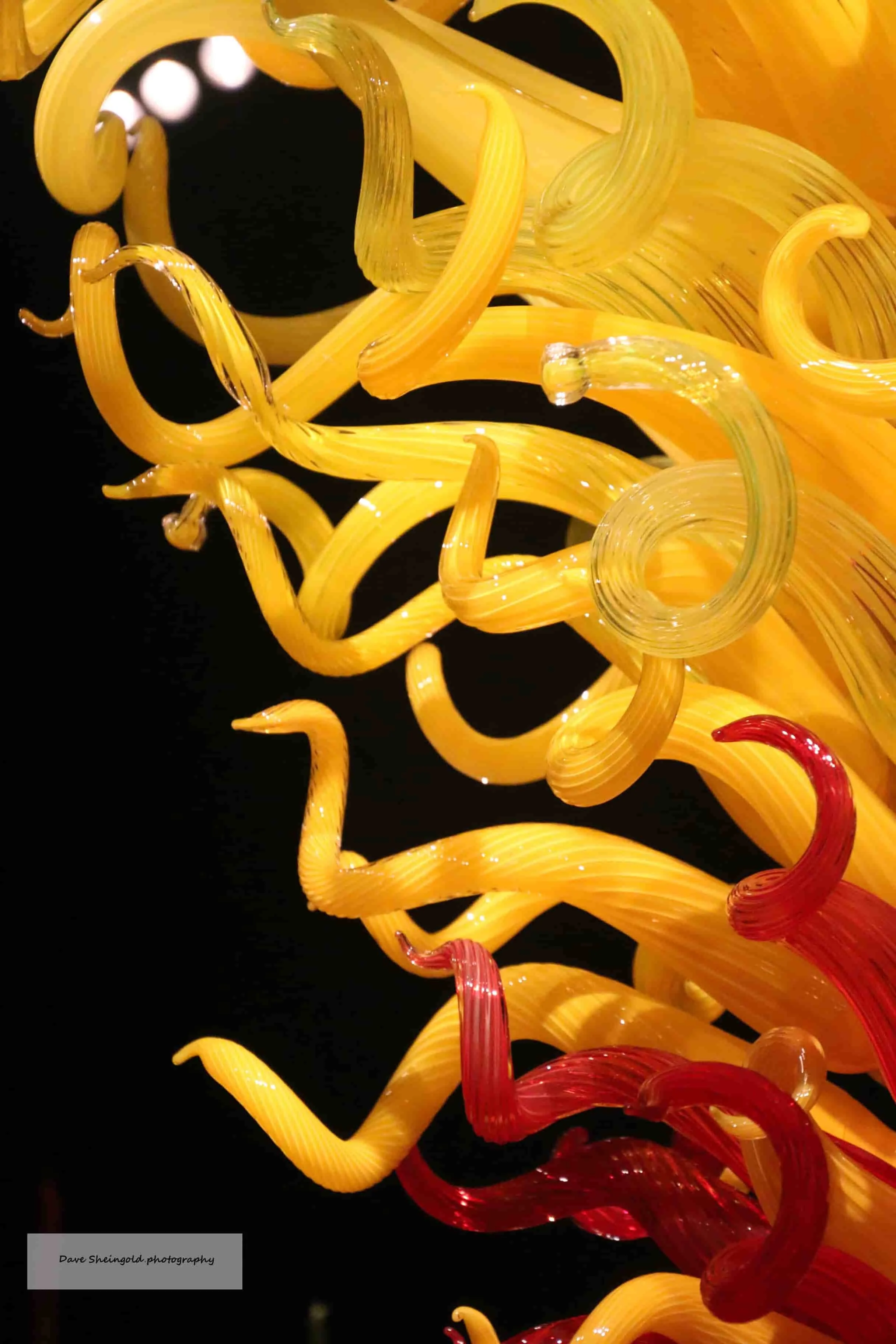 Chihully Garden and Glass museum, Seattle, WA