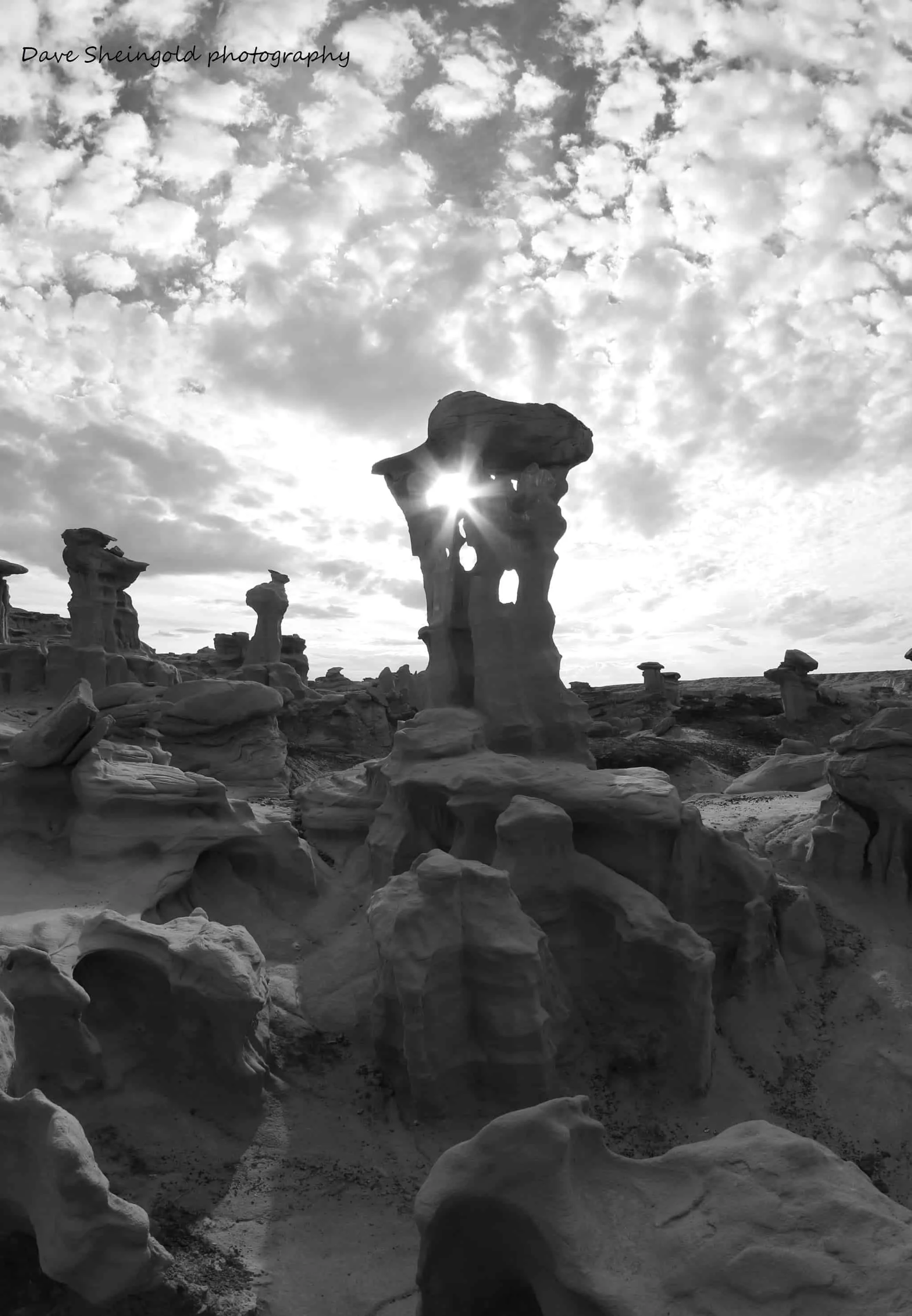 Sun star, Bisti Rock Garden, Bisit De-Na-Zin Wilderness, New Mexico