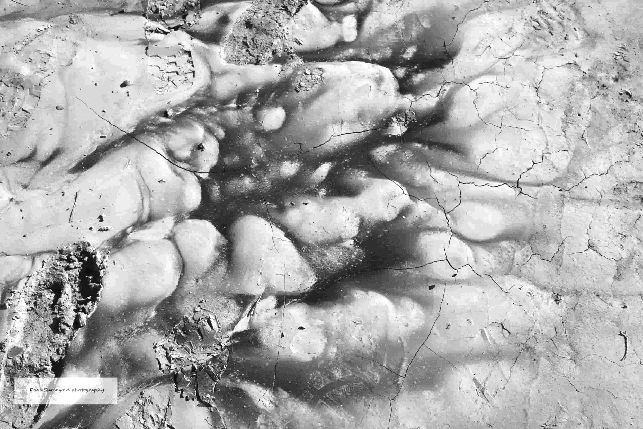 Desert floor, Bisti-De Nah Zin wilderness, New Mexico