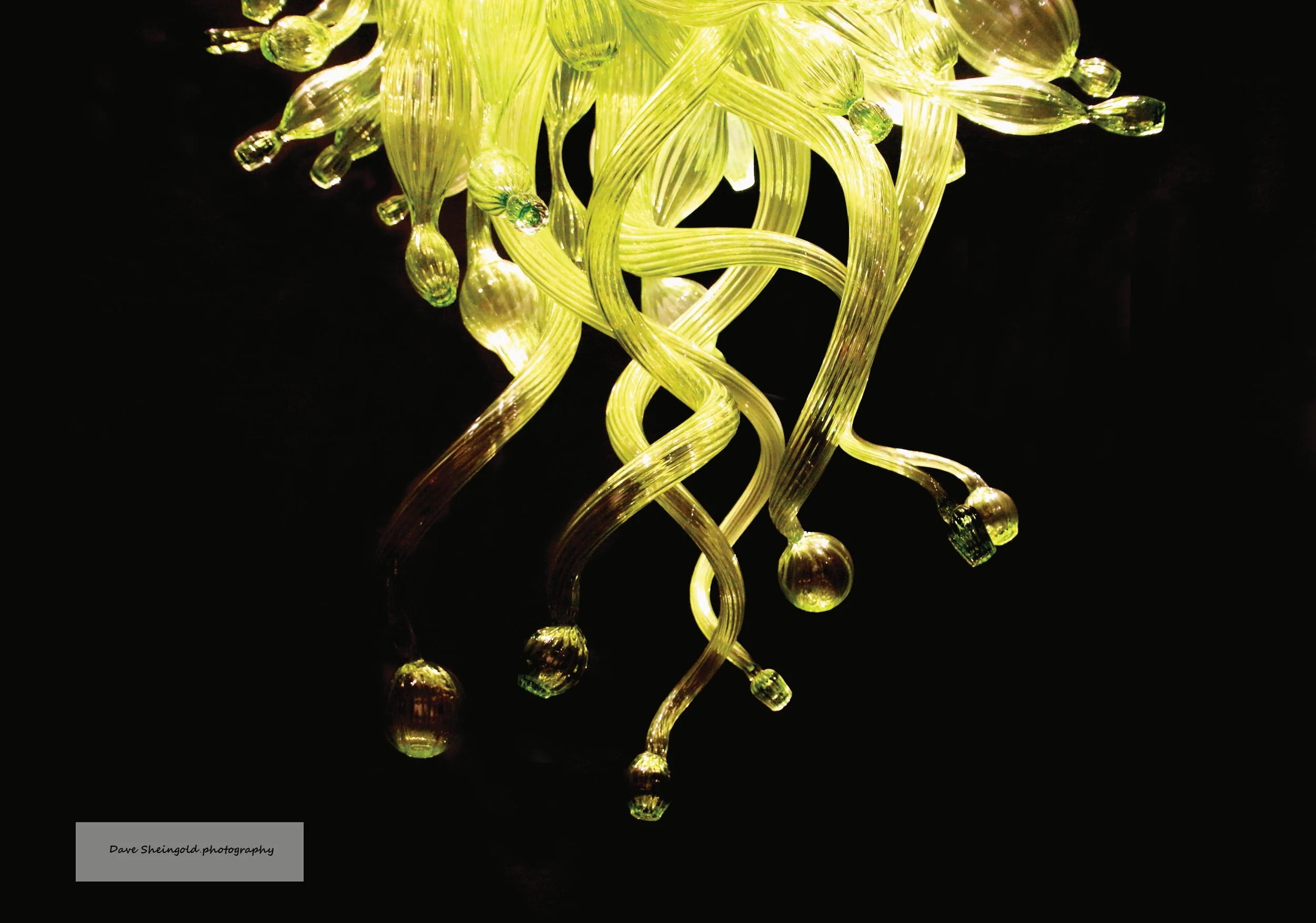 Chihully Garden and Glass museum, Seattle, WA
