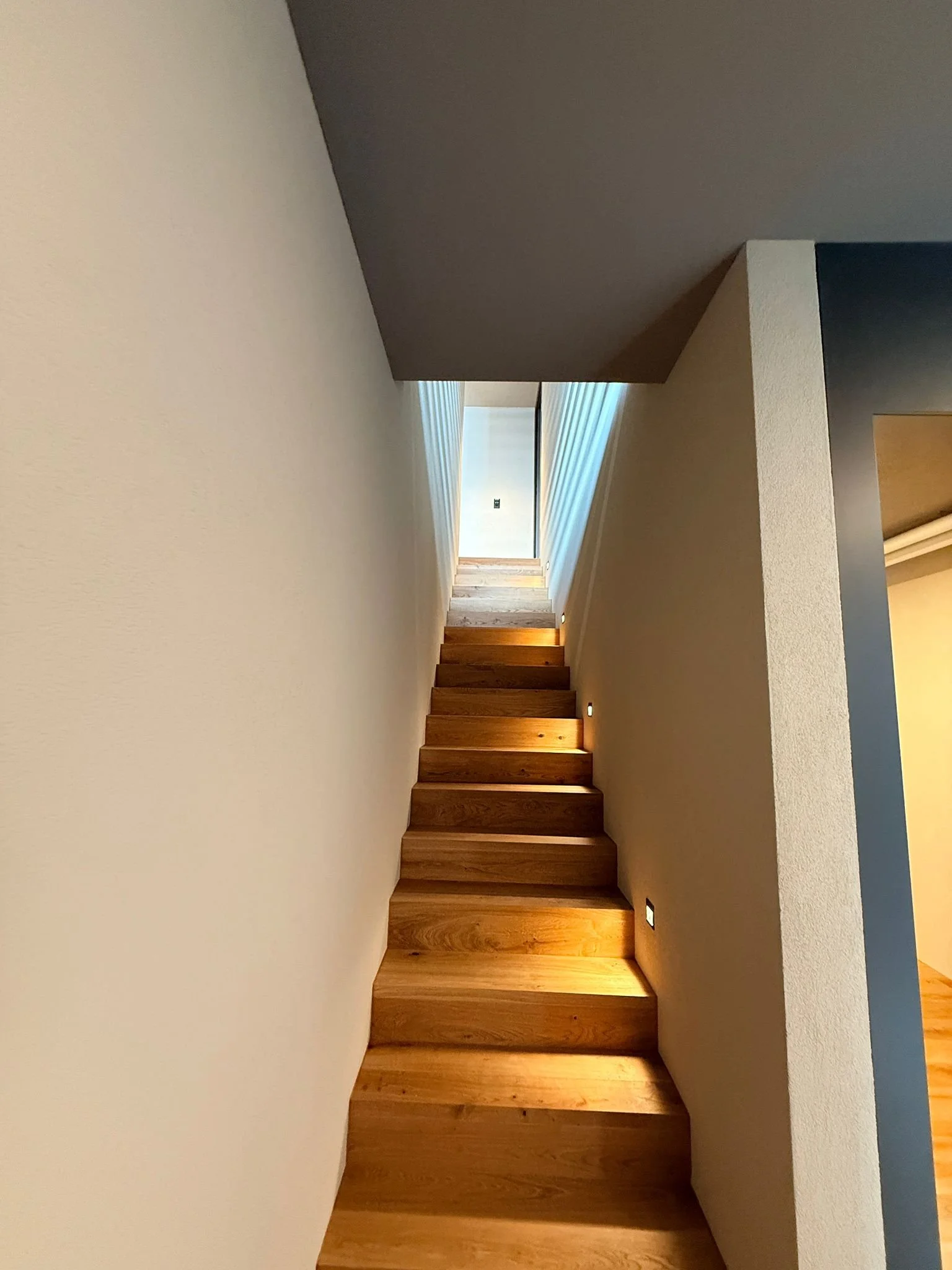 Geni Gips Innenbereiche Projekt 1-e