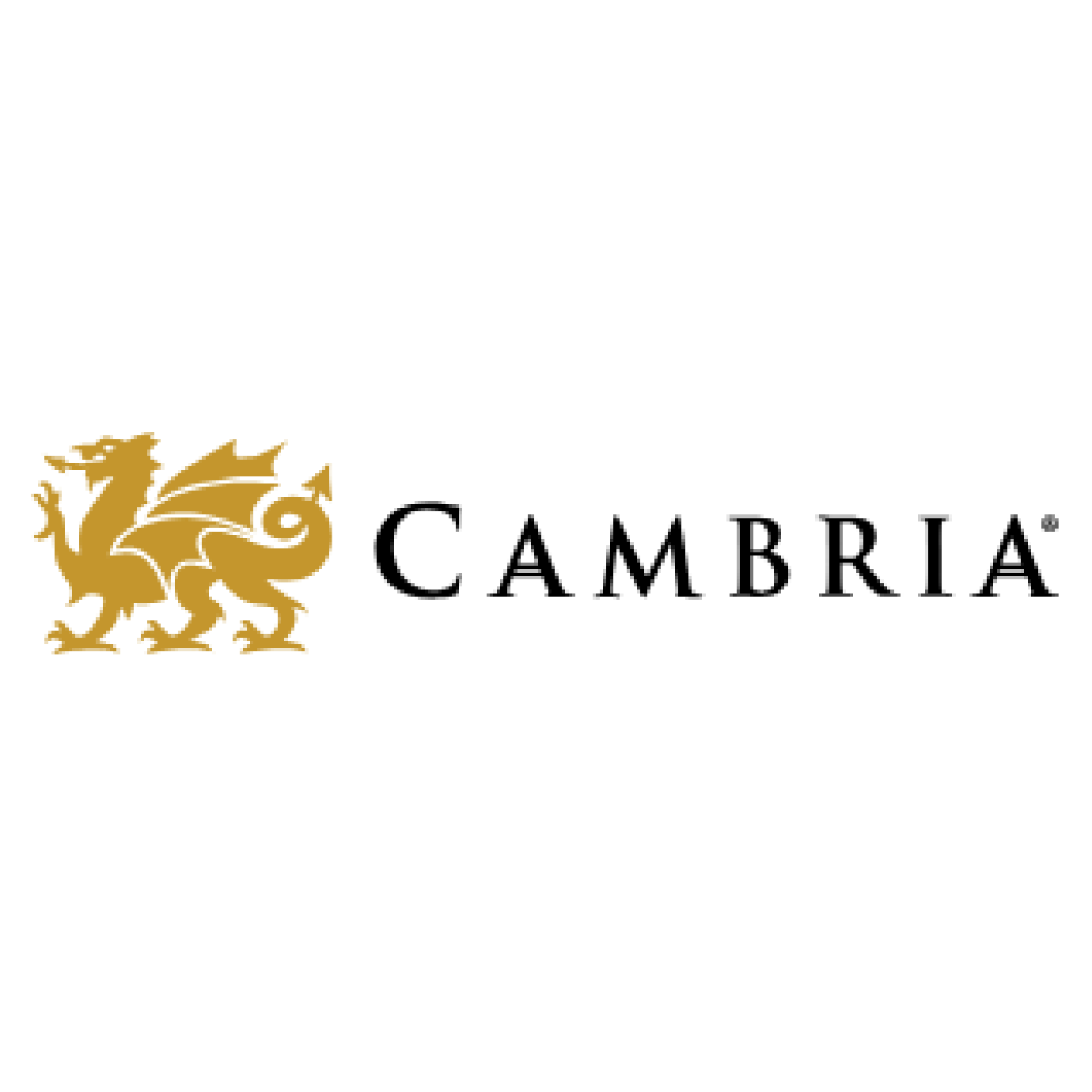 The flag of Wales with a black background, a gold Welsh dragon passant, and the words 'Cymru am byth' written in black across the top.