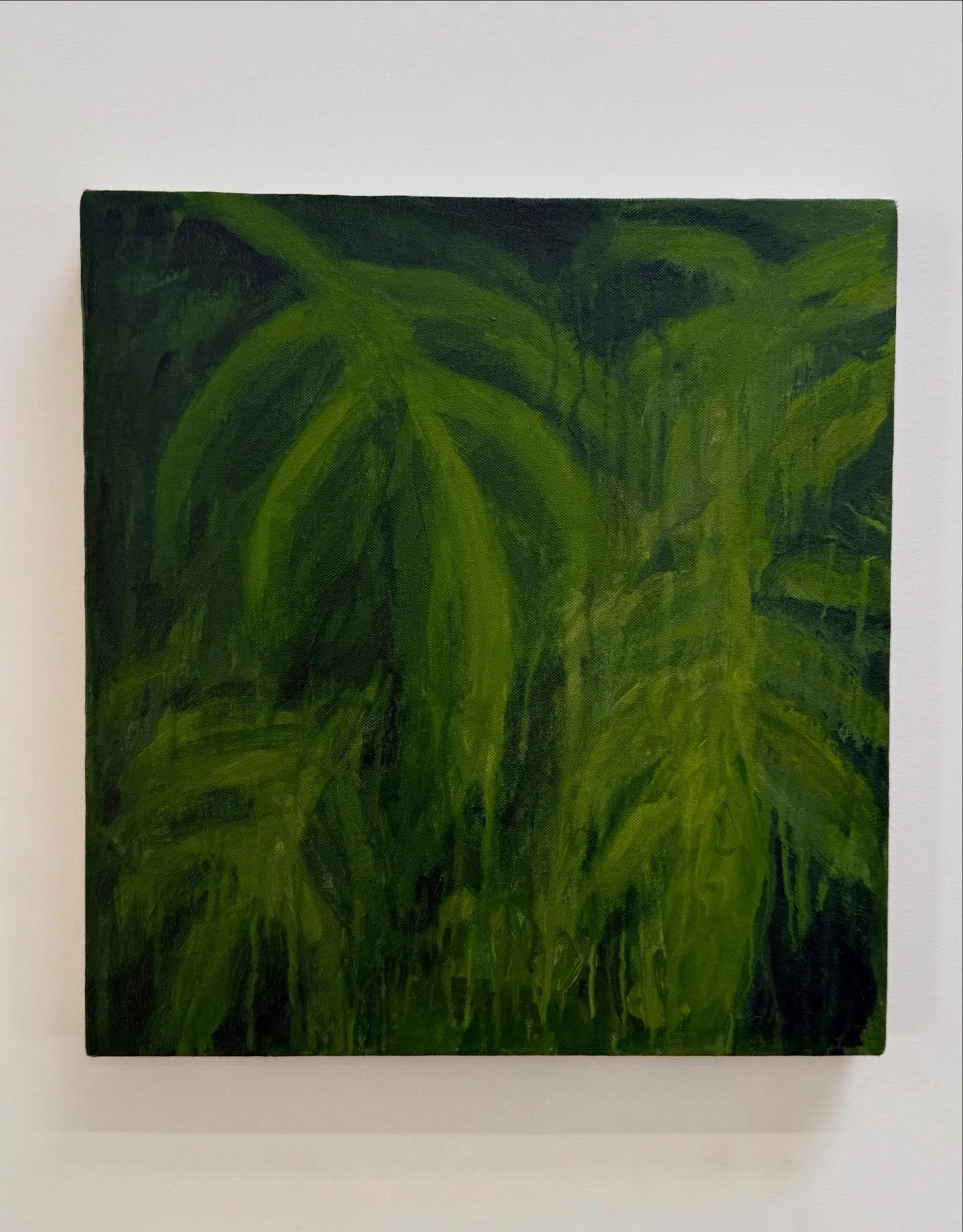 I&rsquo;m Not Brave  2025

15 x 16&rdquo;
Acrylic on canvas