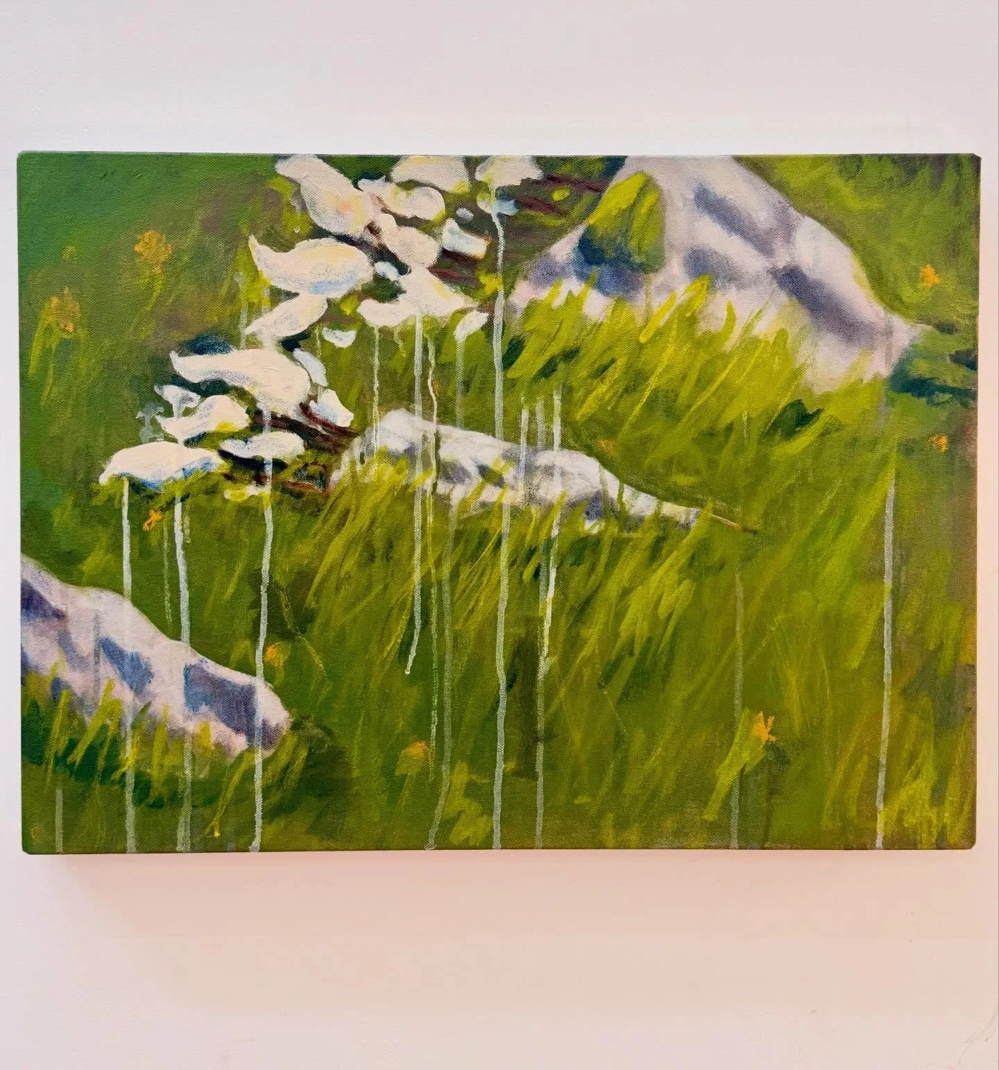 Untitled (Flowers), 2026

16 x 22 in. 
acrylic and oil stick on canvas