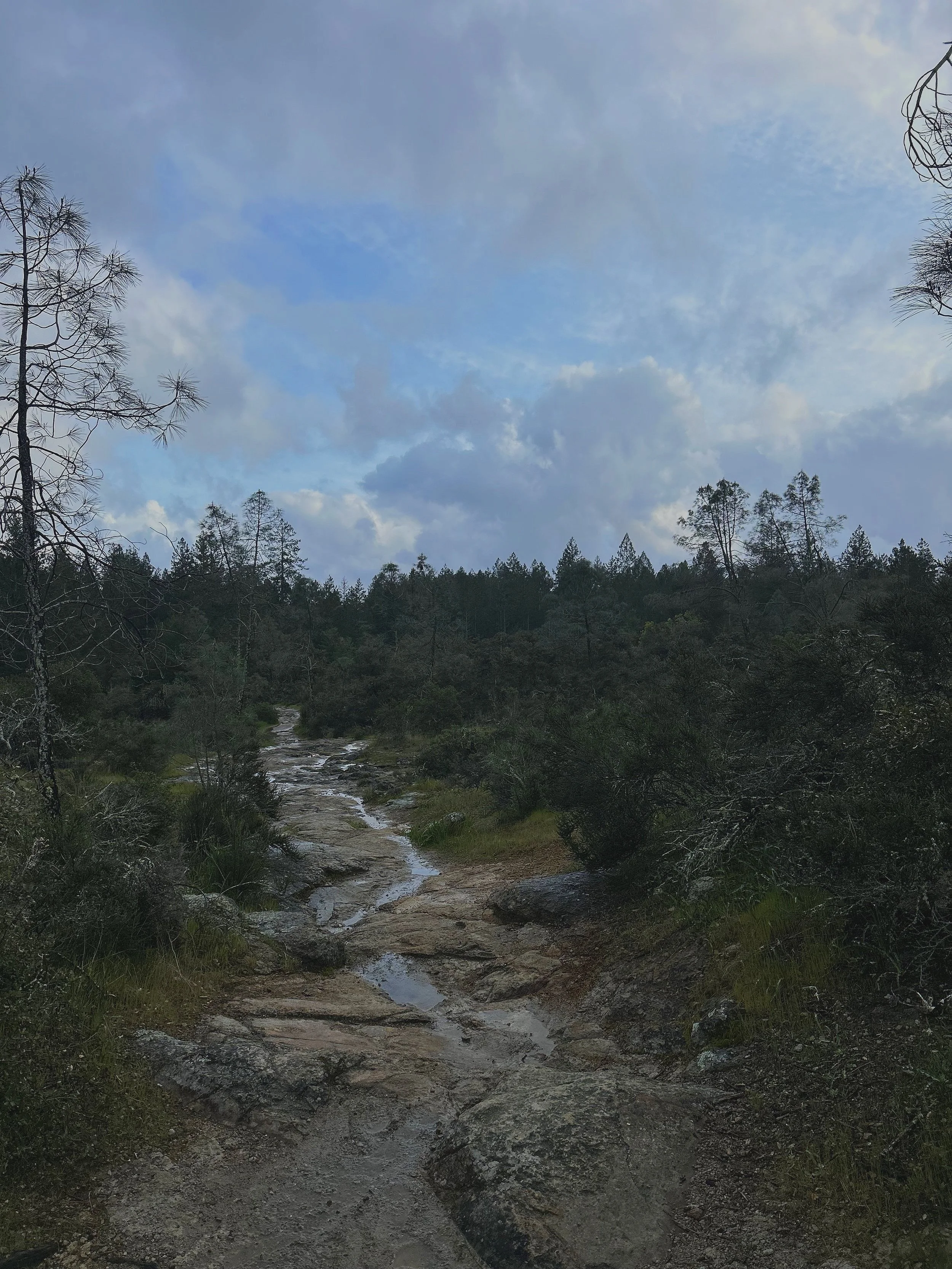 Linda Falls: A Hidden Waterfall Adventure Just Outside Napa Valley
