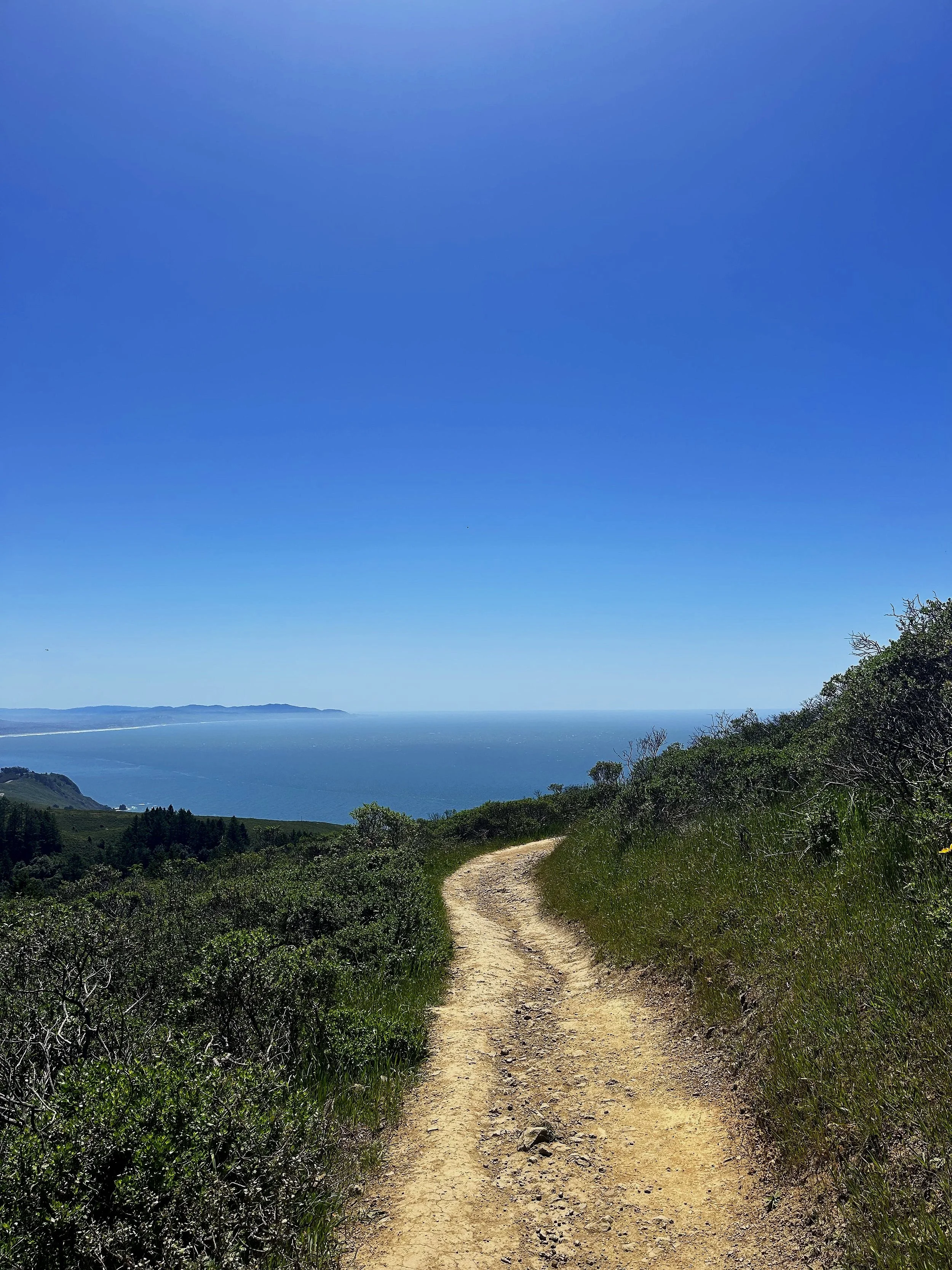 Hiking the Dipsea Trail: A Scenic Adventure from Mill Valley to Stinson Beach