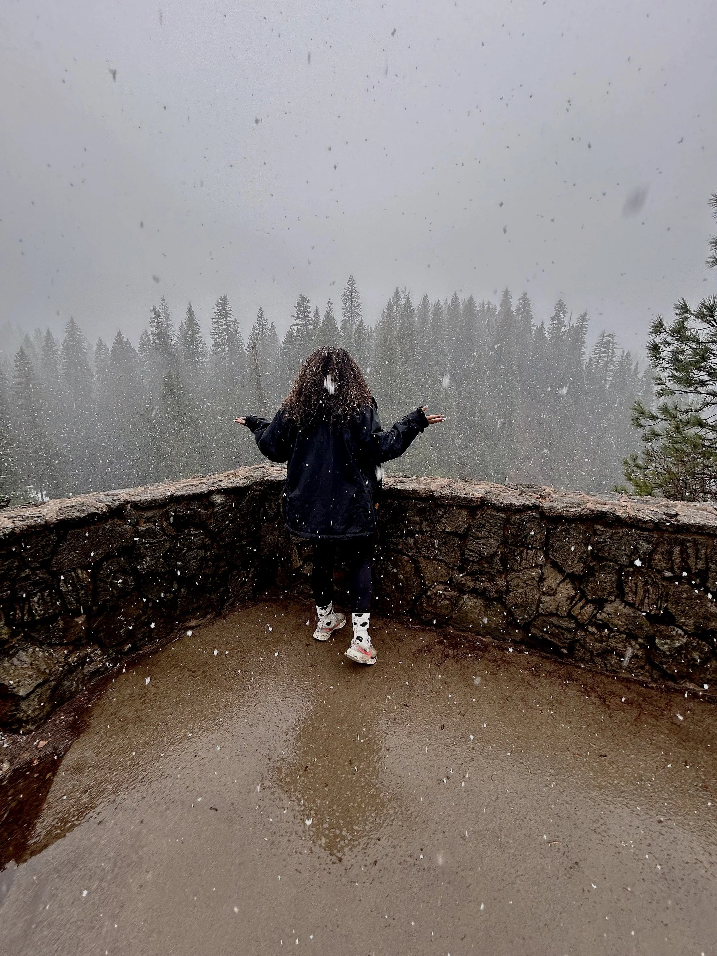 Burney Falls: California’s Hidden Cascade of Beauty