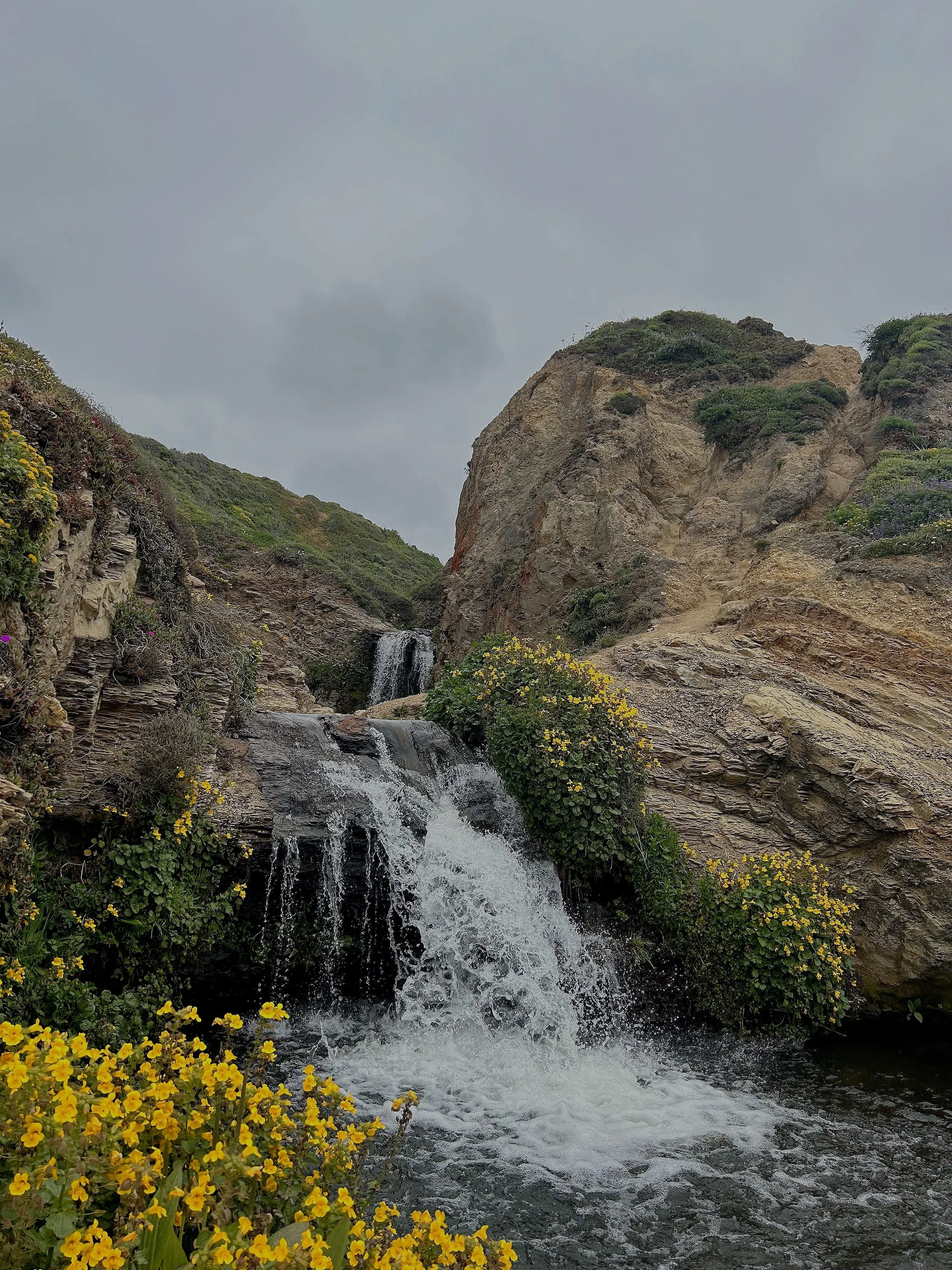 Hiking Alamere Falls: A Waterfall Experience in Marin County’s Coastal Beauty