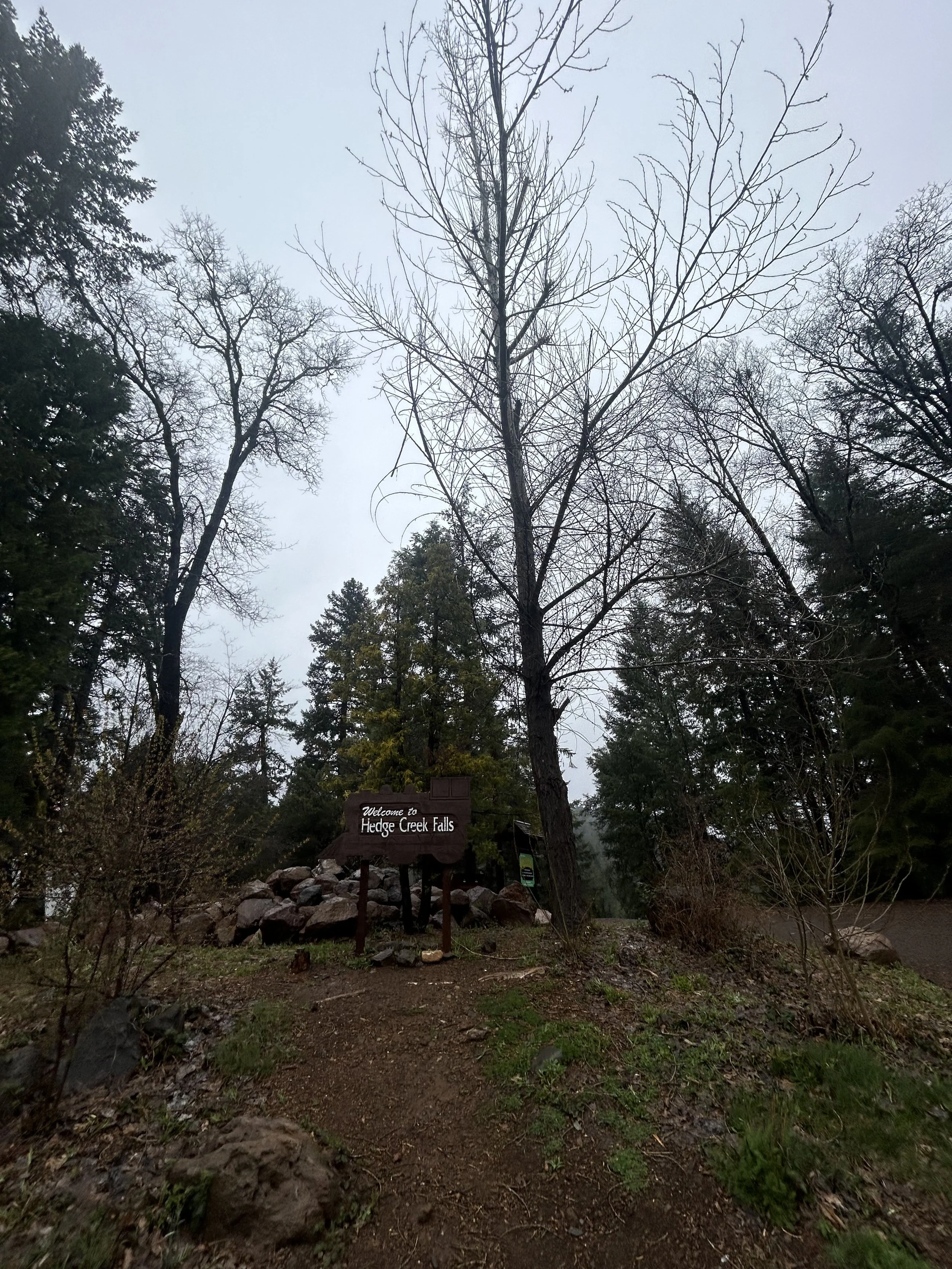 Exploring Hedge Creek Falls: A Hidden Gem in Siskiyou County