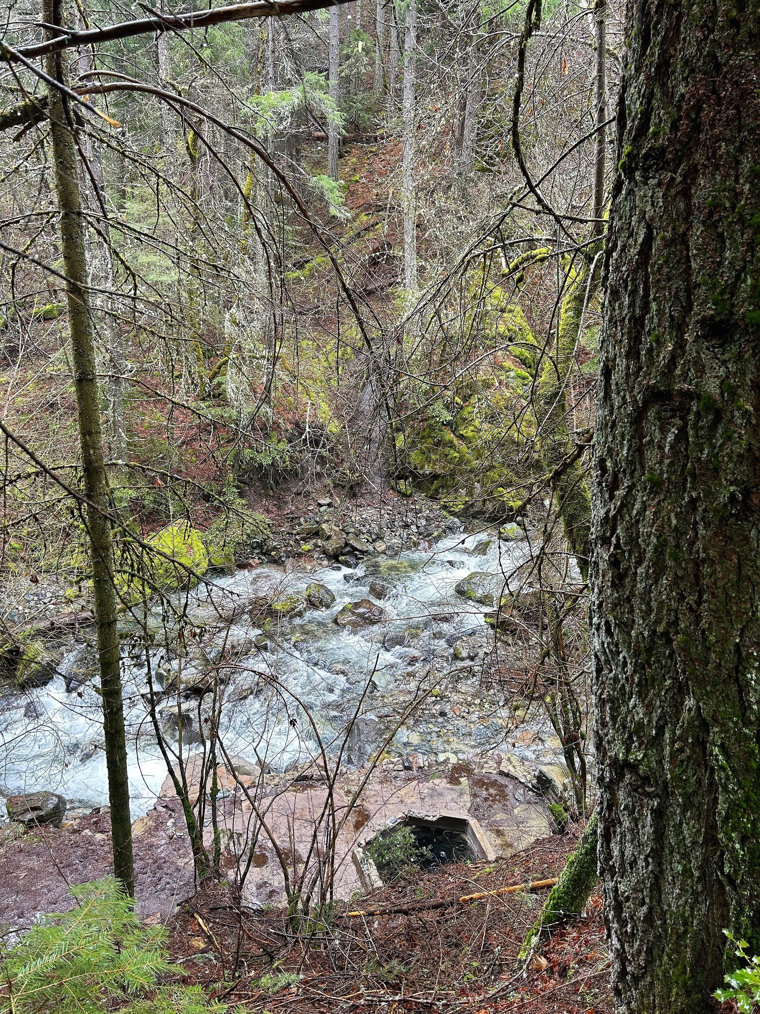 A Journey to Faery Falls: California’s Secret Waterfall