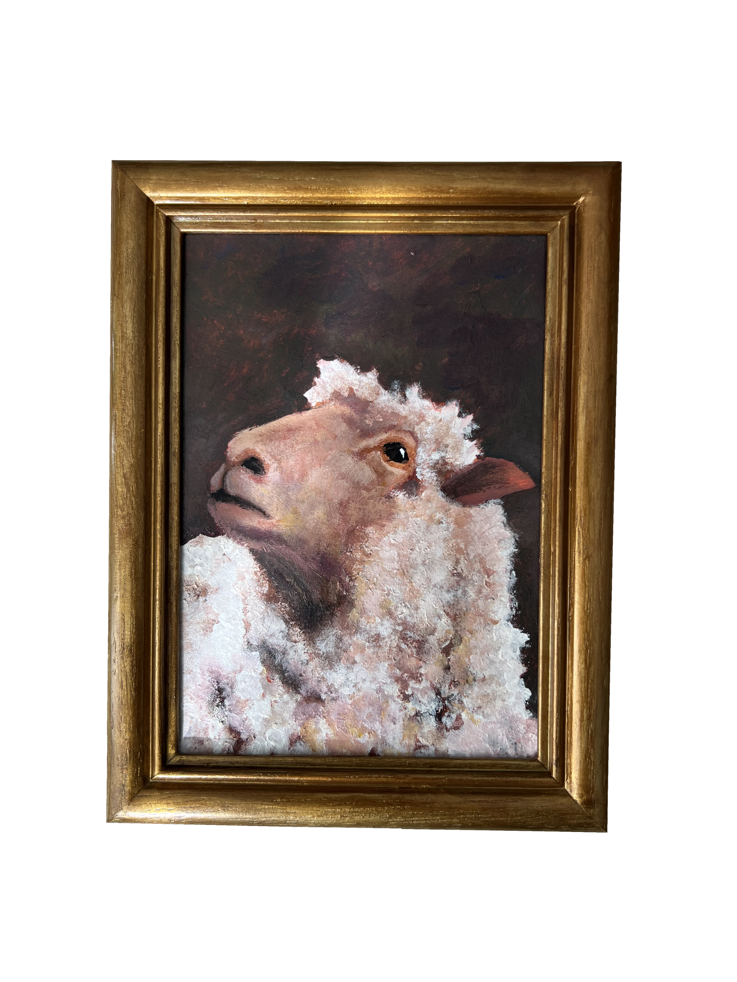 Wondering Sheep