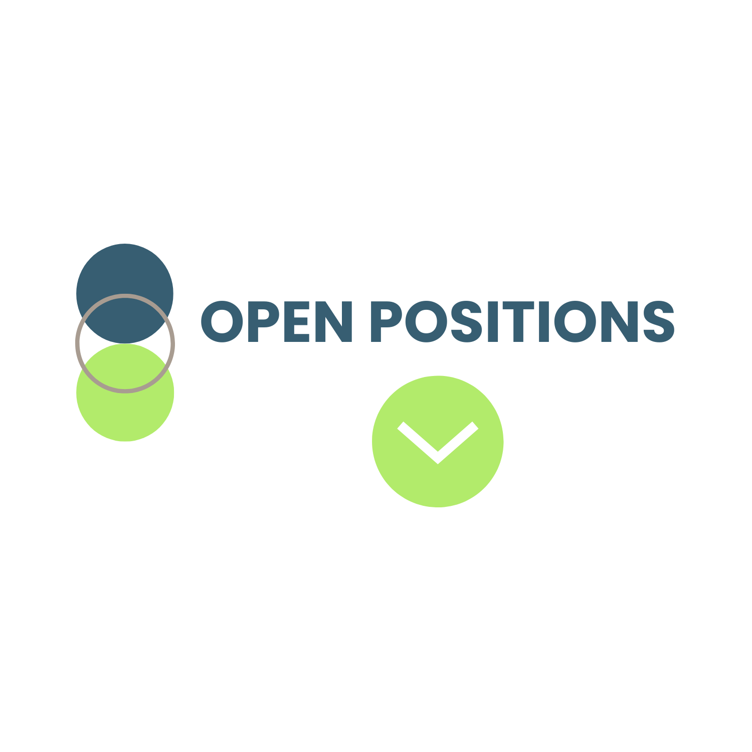 Career Opportunities & Support | IRS Job Seekers — Your Site Title
