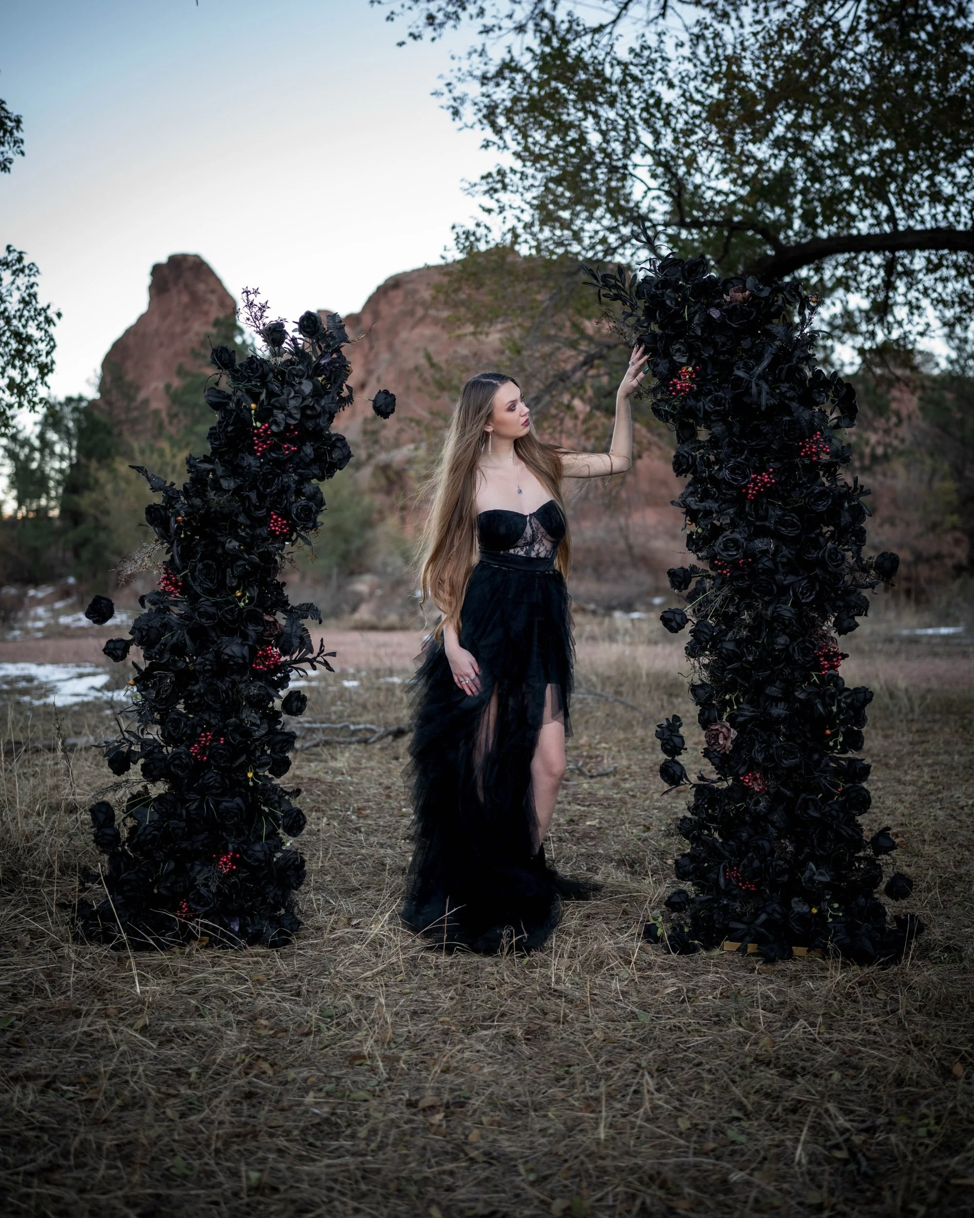 Black Demi Arches $250
(Photo by 5280CO.Photography)