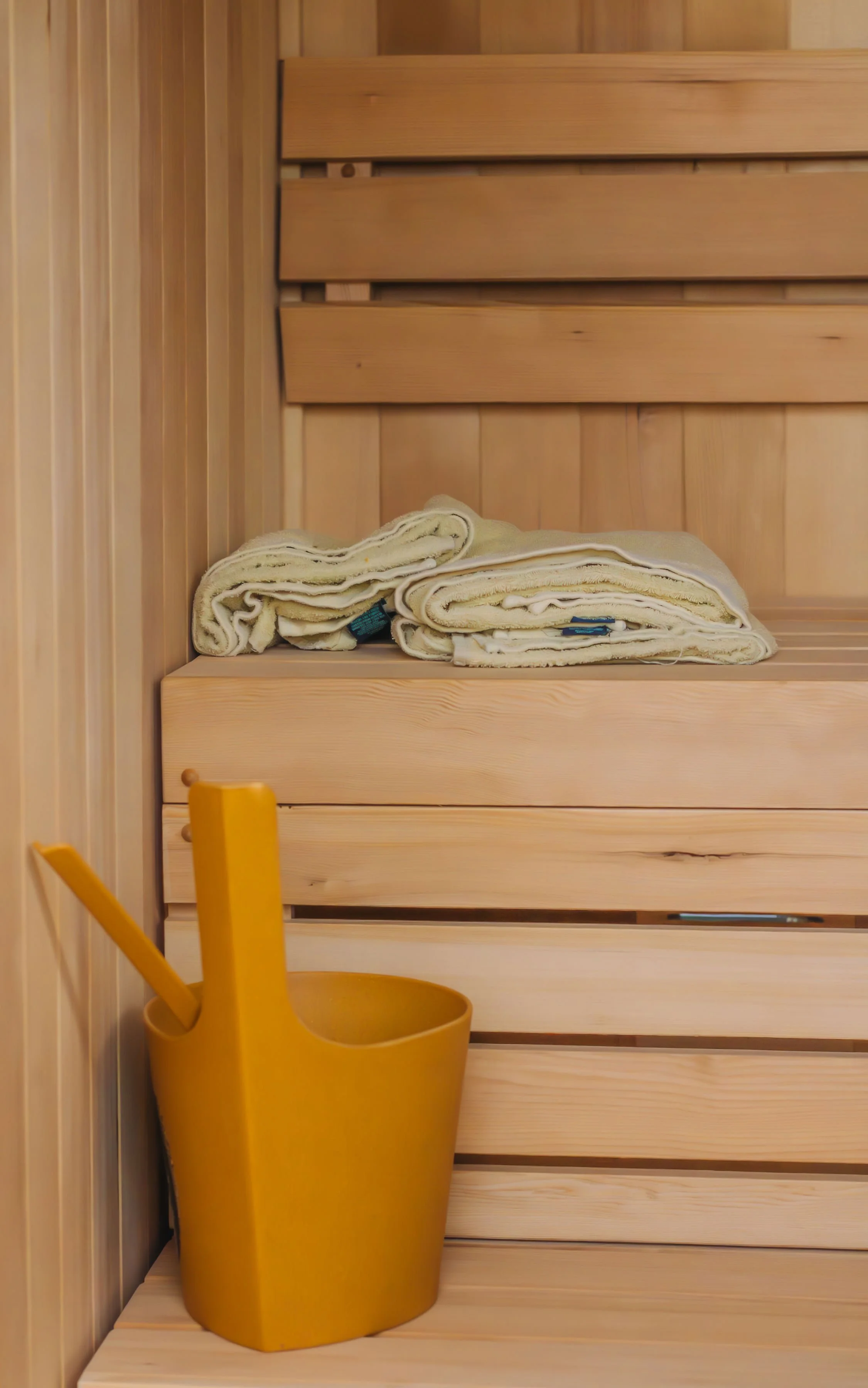 Dexter Backyard Sauna_interior1.jpg