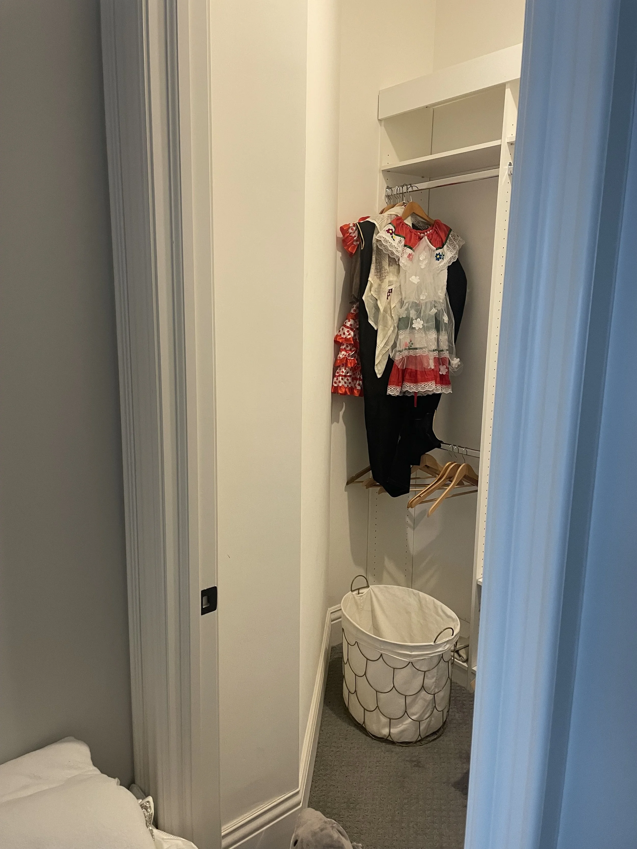 Orchard Lake Closet to Sauna Conversion_before1.jpeg