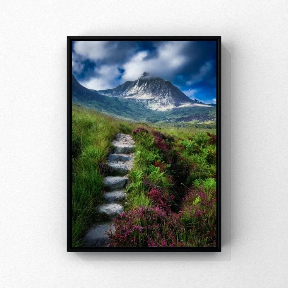 Arran
