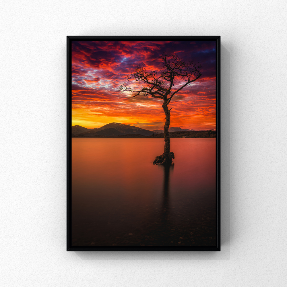 Print Mockups (1).png