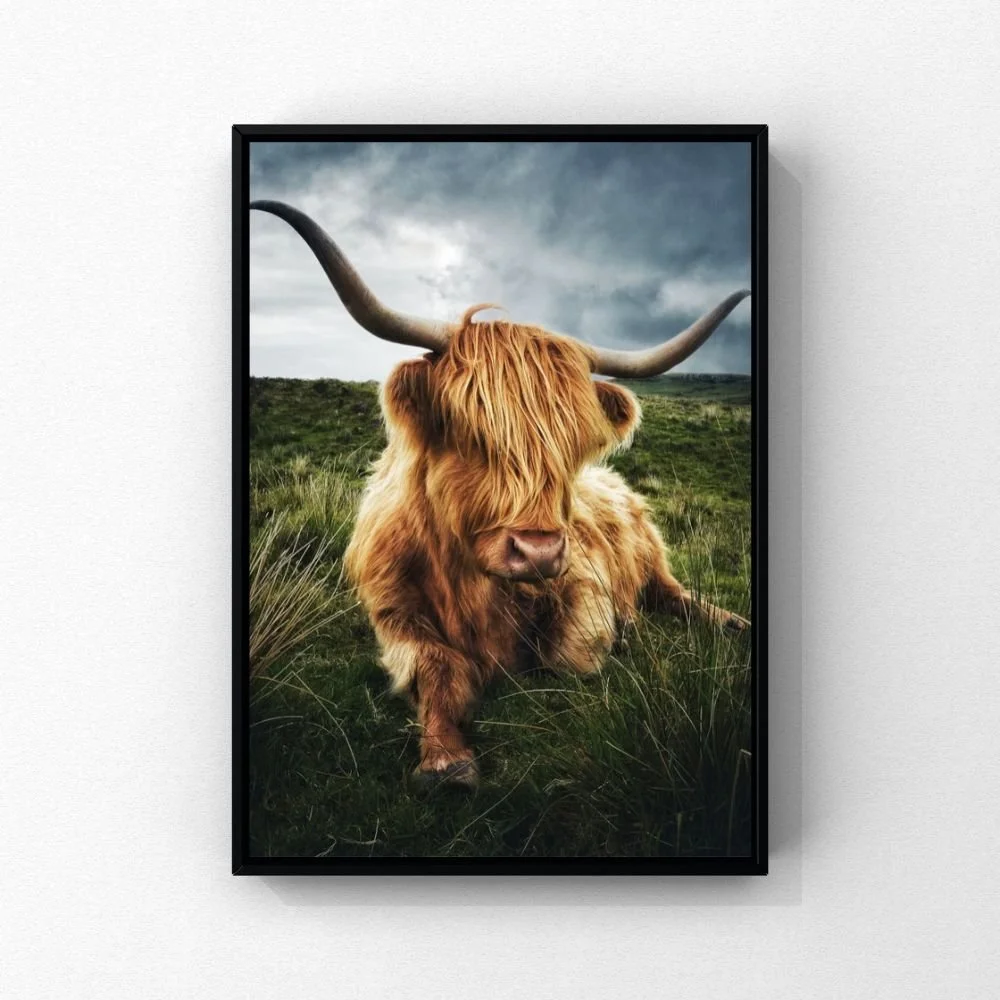 Queen of the Coos