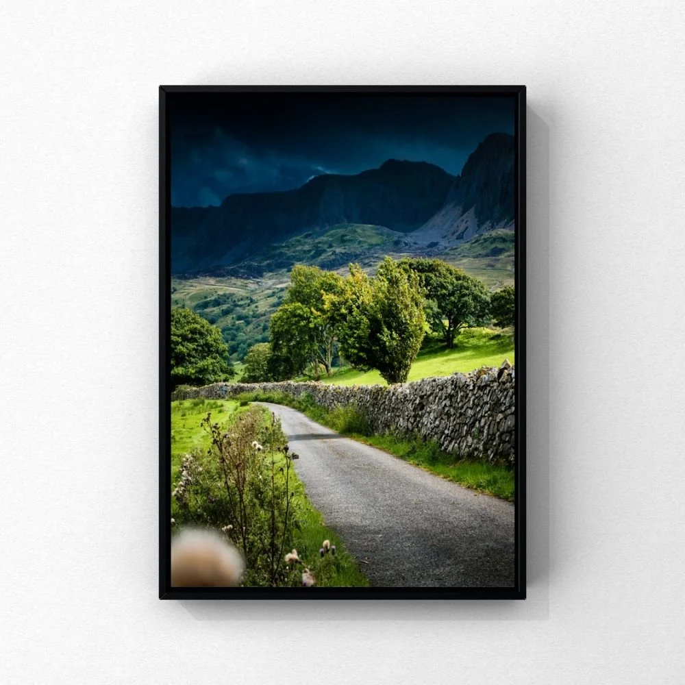 Print Mockups (1).jpg