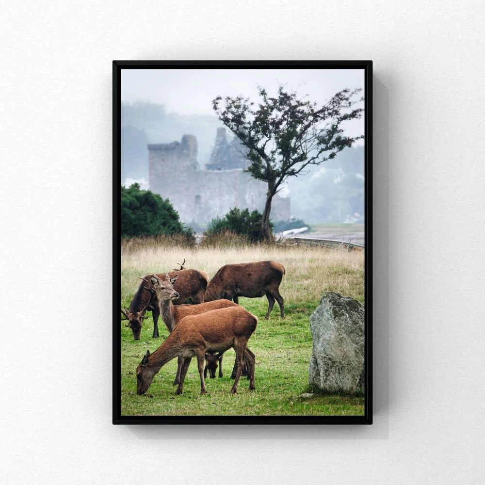 Print Mockups (30).jpg