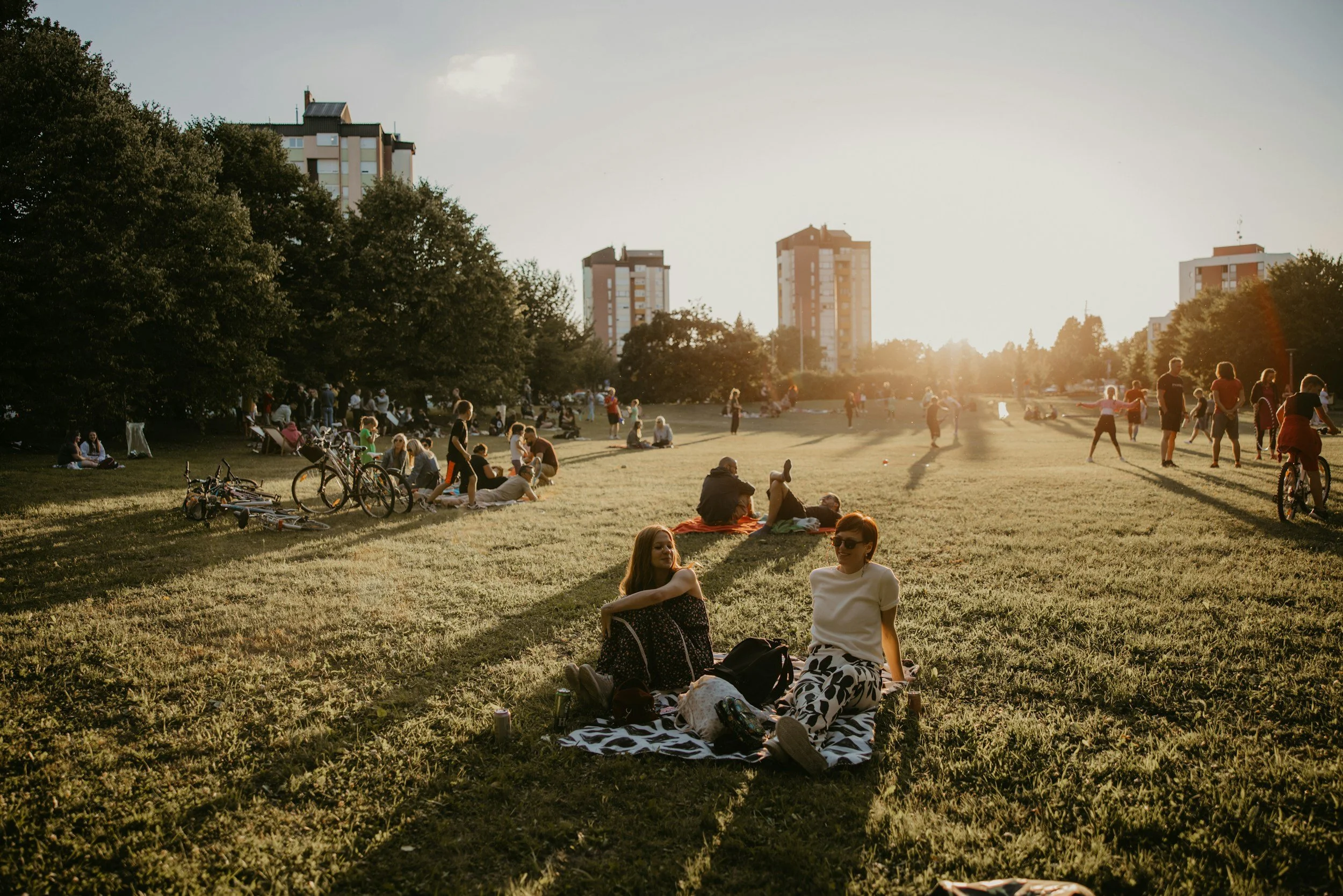 Movie in the Park