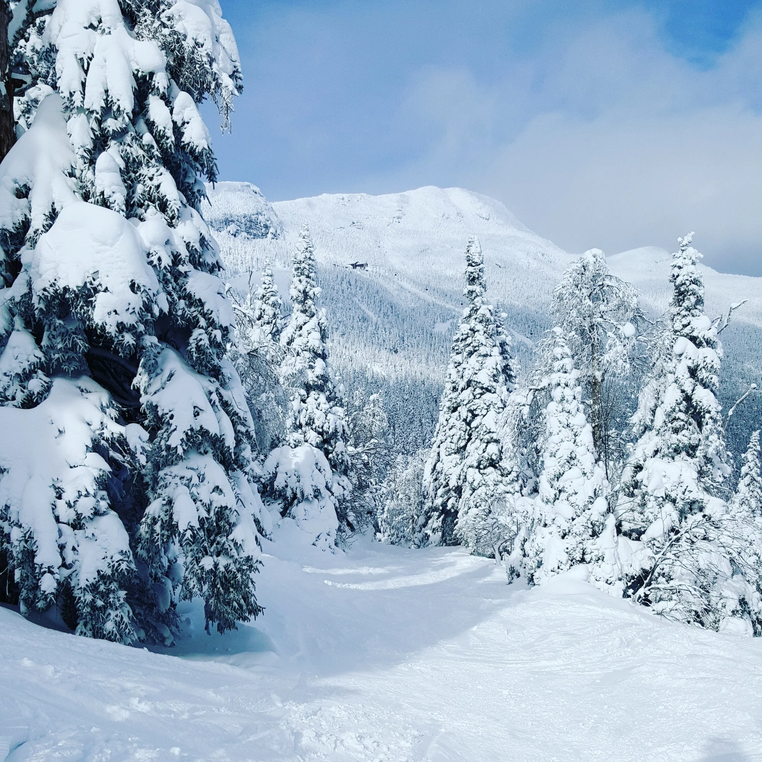 snowy scene of mt mansfield