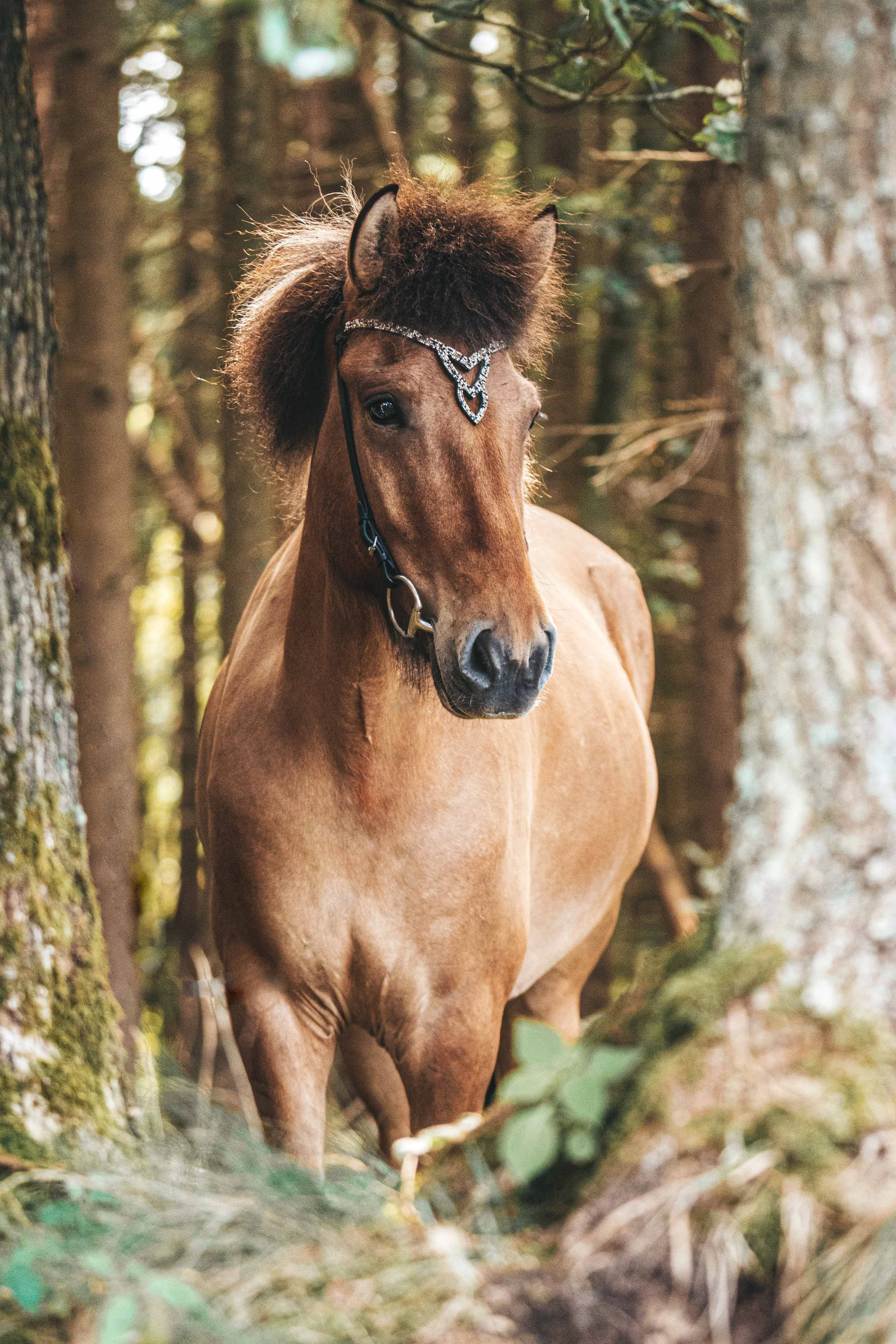 mwphotography-18-5.jpg