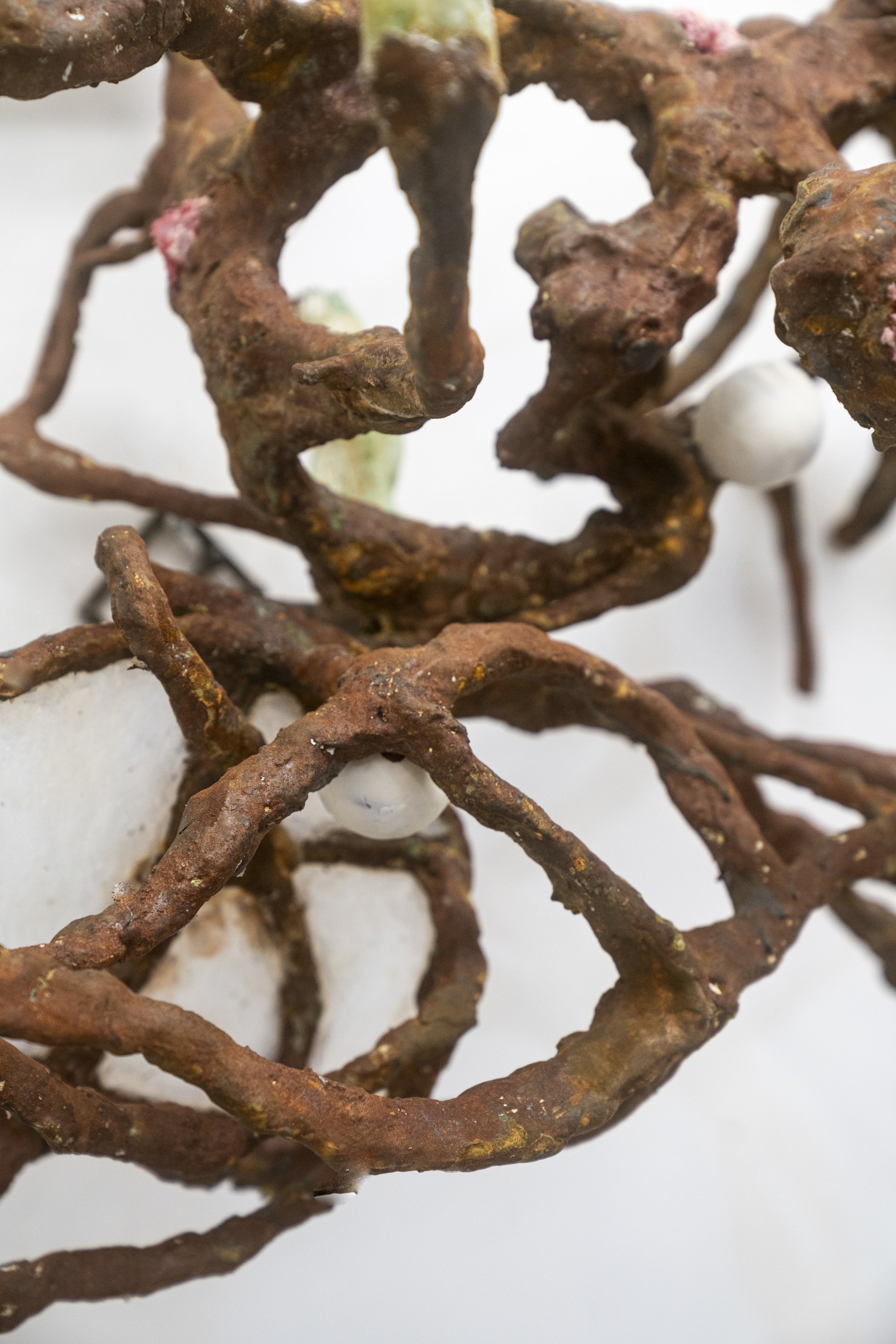 Cass Yao
Anatomy #3 (detail)
2025
Epoxy clay, patina rust, lamb ear, silicone
58 x 28 in.
147.32 x 71.12 cm.