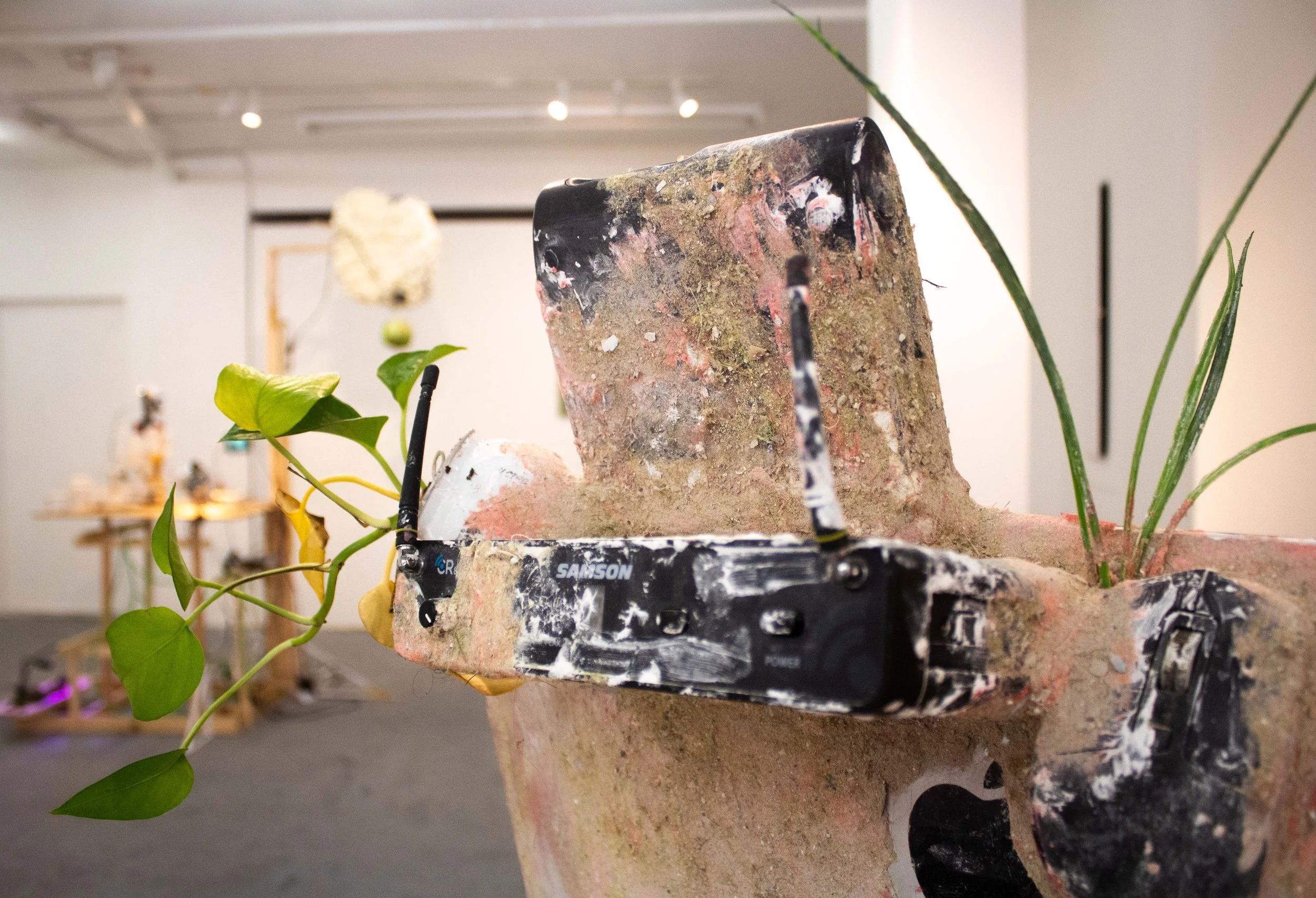 Rosalie Smith
Office Pigeon (detail)
2025
iMac, keyboard, video, buzzball, wifi router, debris, keyboard, mouse
26 x 26 x 9 in.
66 x 66 x 22.86 cm.