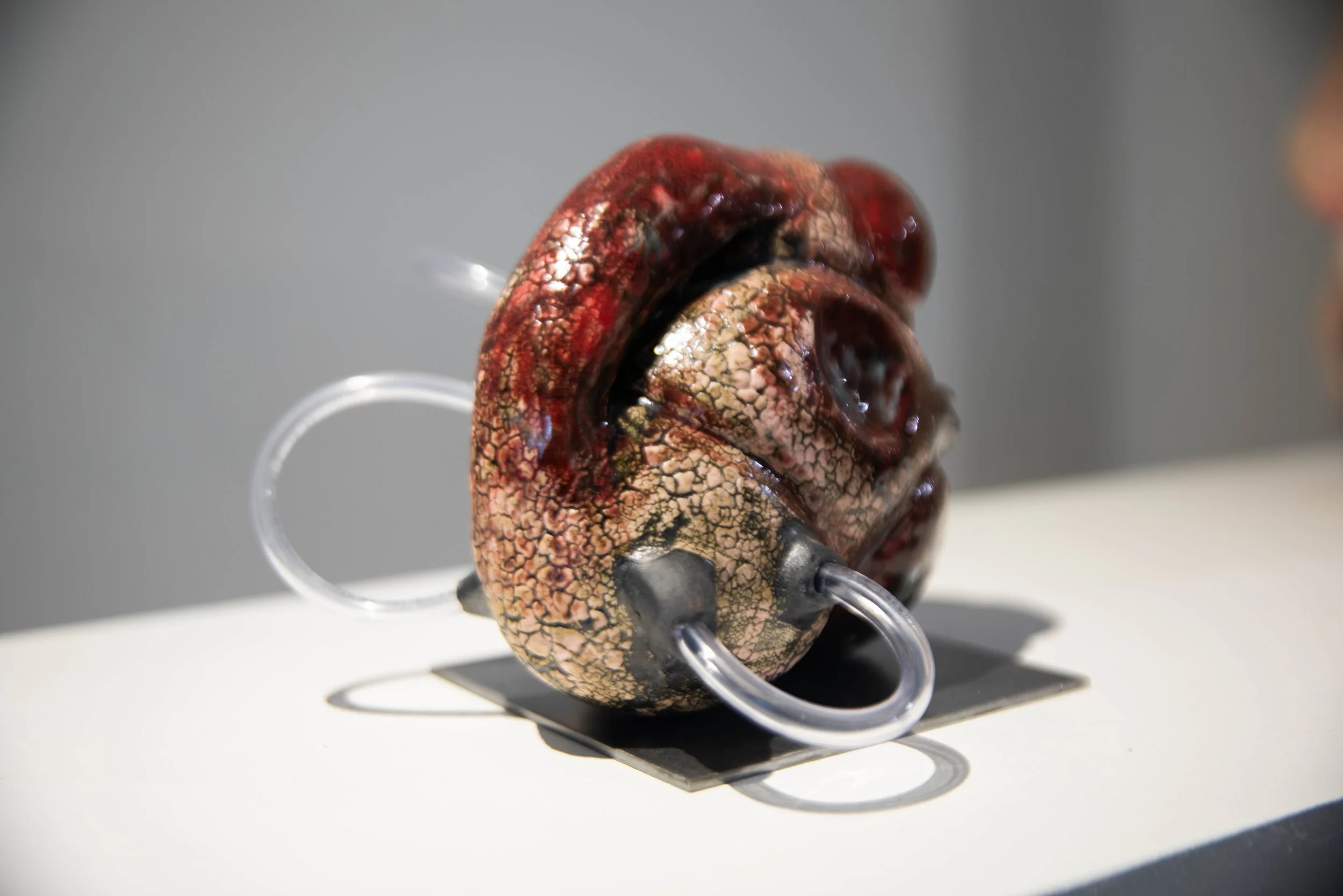 Patrick Bell
Taeniae Coli (detail)
2025
Ceramic, glaze, acrylic tubing, steel
6 x 7.5 x 7.5 in
15.24 x 19.05 x 19.05 cm