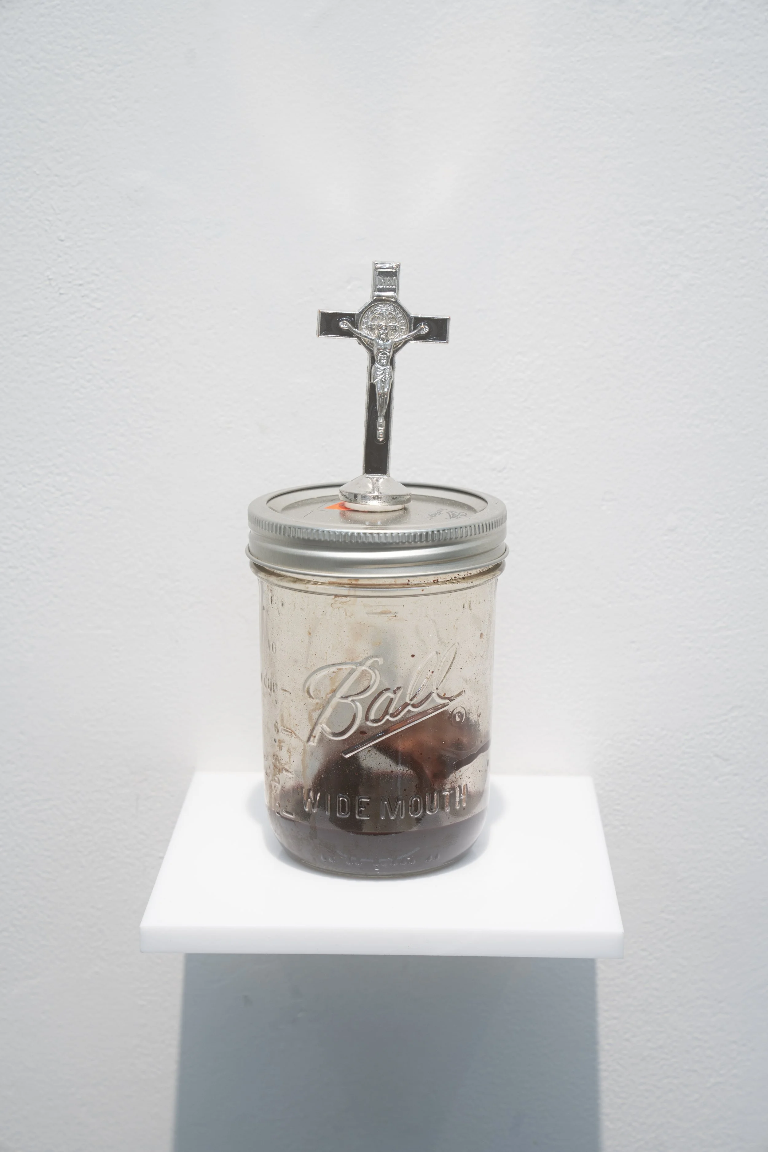 Amanda SRGE_Lindsay
a survivor is like the undead; too dead to live,
and too alive to die, 2026
Cow vertebra, artistʼs blood, glass jar, found object
3.5 x 8 inches
8.89 x 20.32 cm