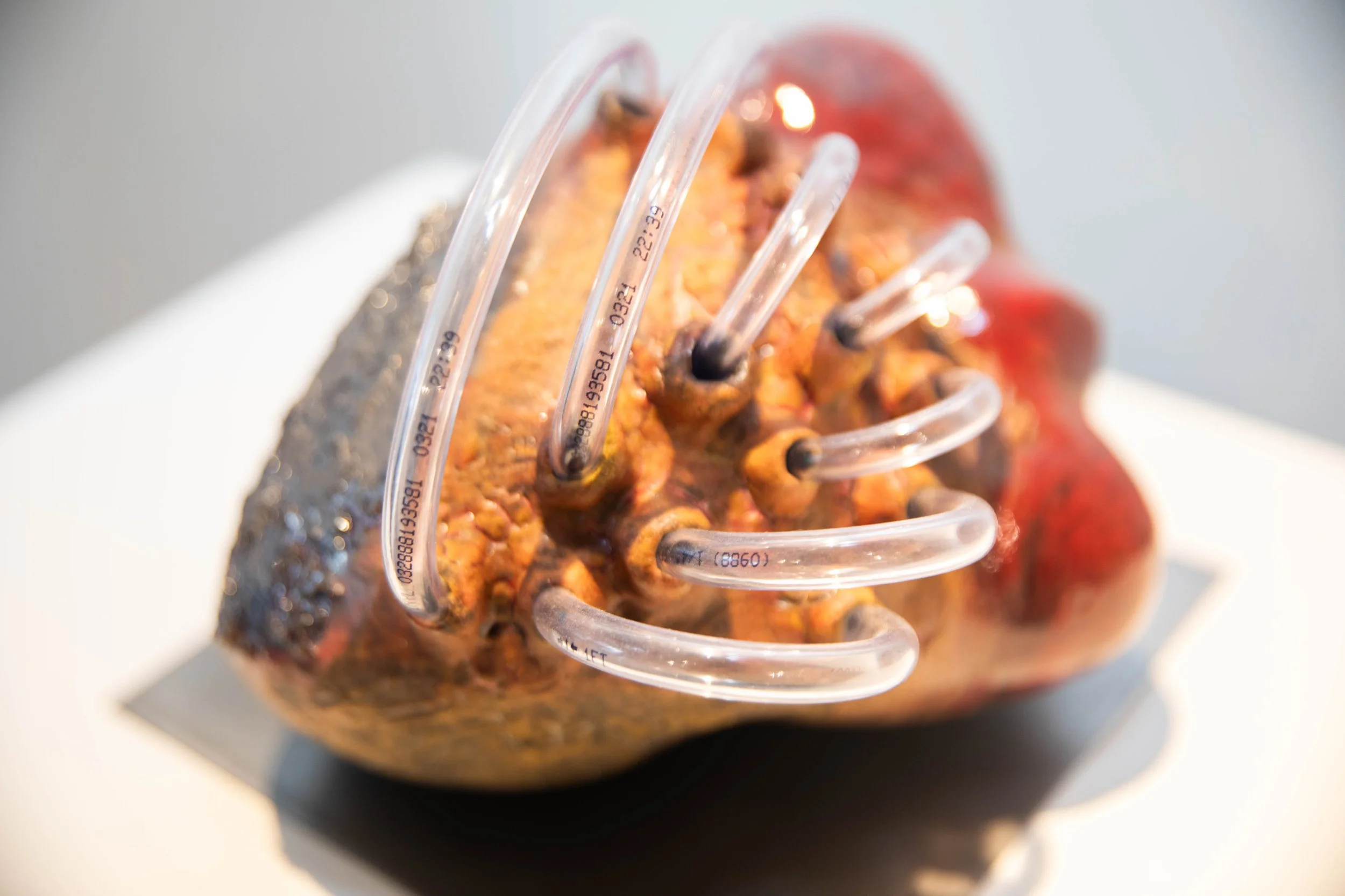 Patrick Bell
Perfusion (detail)
2025 
Ceramic, glaze, acrylic tubing, steel 
7.5 x 9 x 8.5 in
19.05 x 22.86 x 21.59 cm