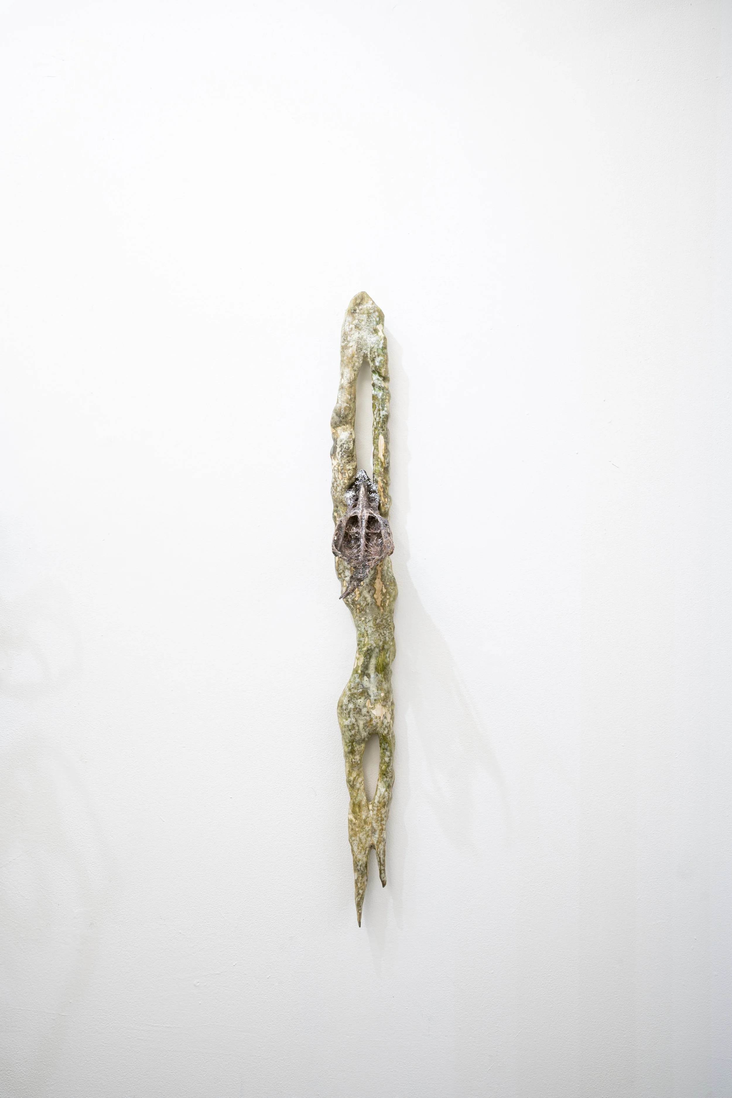 Echo Yan
Muttering Burrow
2025
Unidentified animal bone, pine,
resin, salt
36 × 4 × 7.5 in.
91.44 × 10.16 × 19.05 cm.