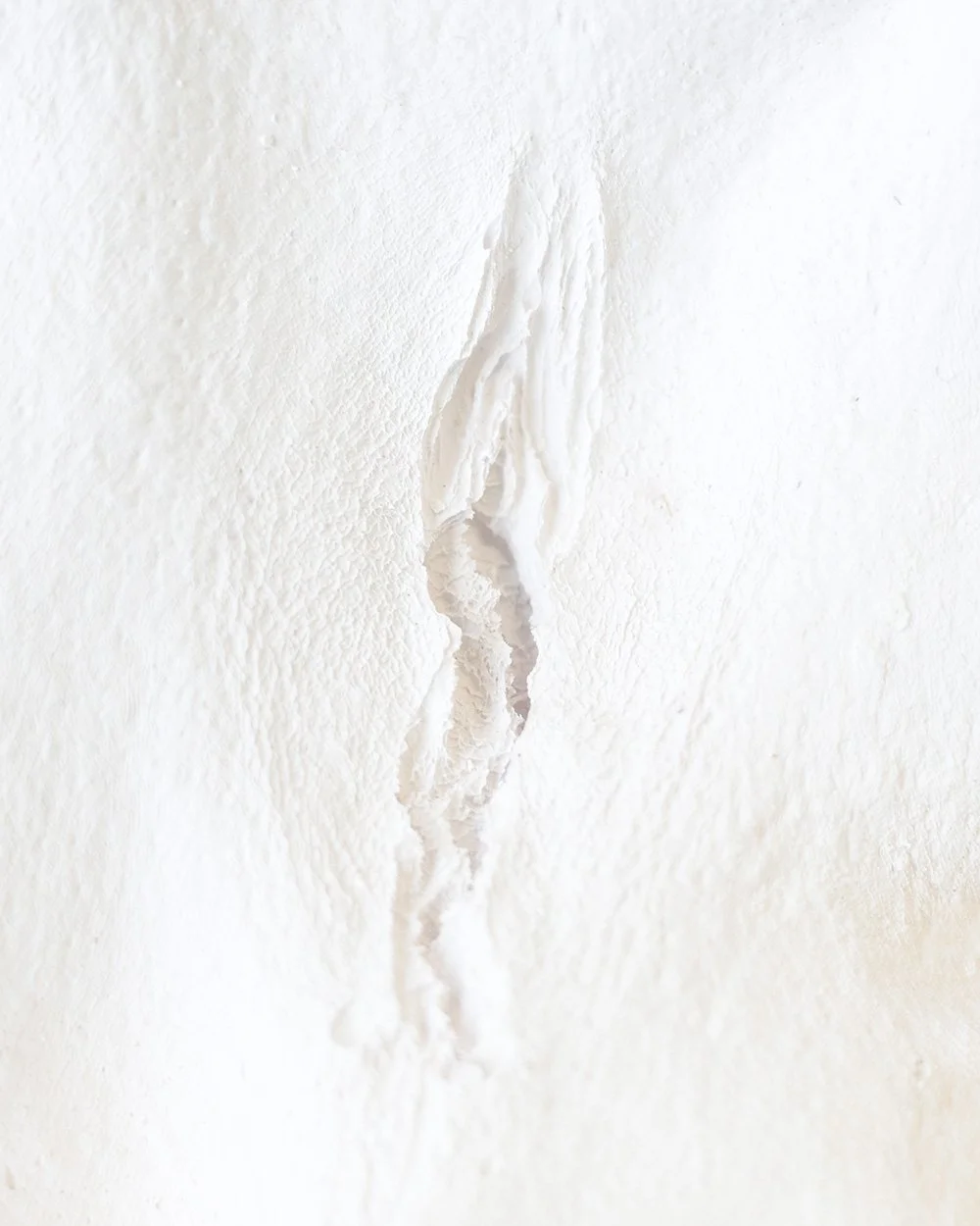 Untitled (Recto)
2026
Archival pigment print on Red River Polar Matte
Edition of 5
20 x 16 inches
50.8 x 40.64 cm
CJR P2