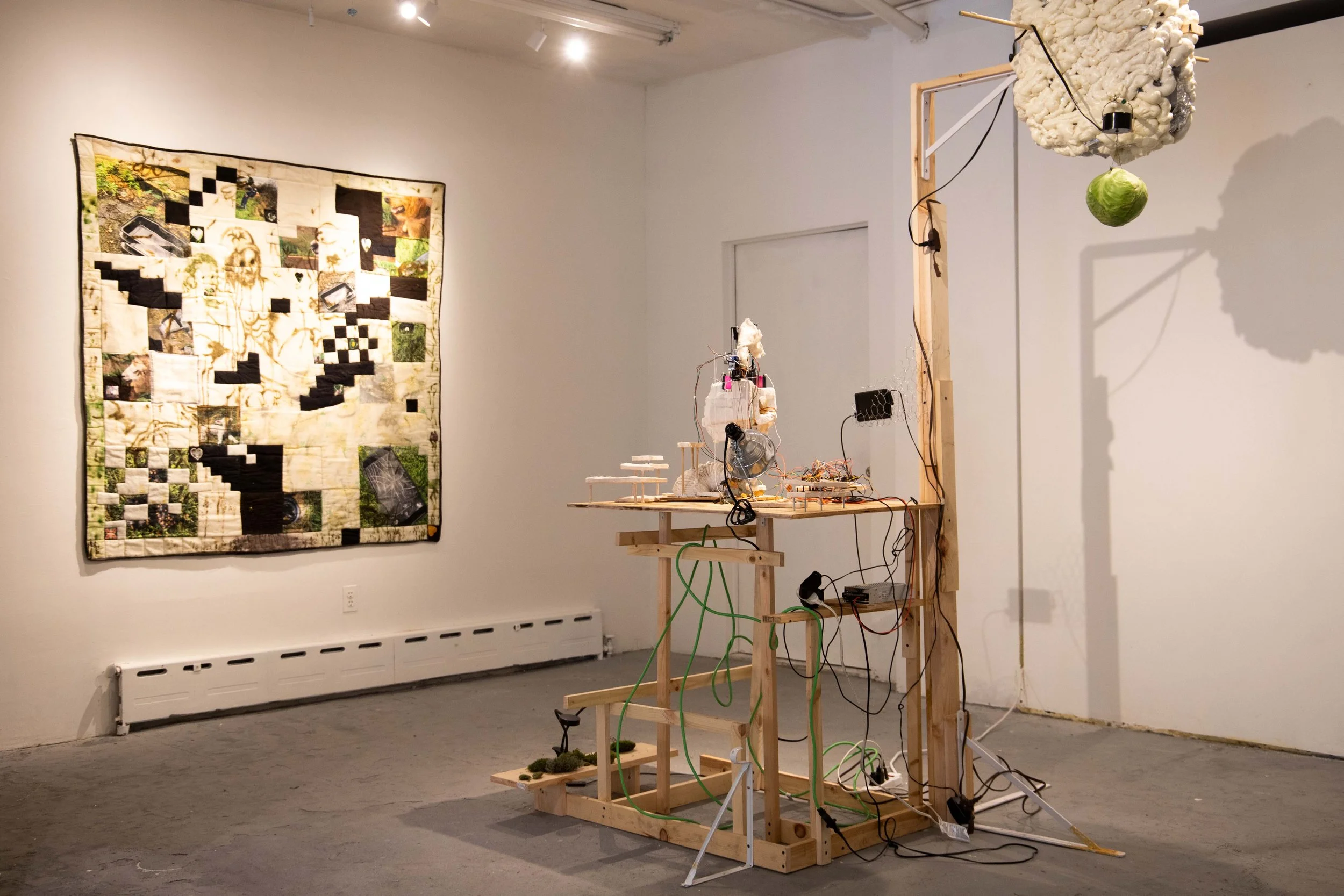 install shot garden 1.jpg