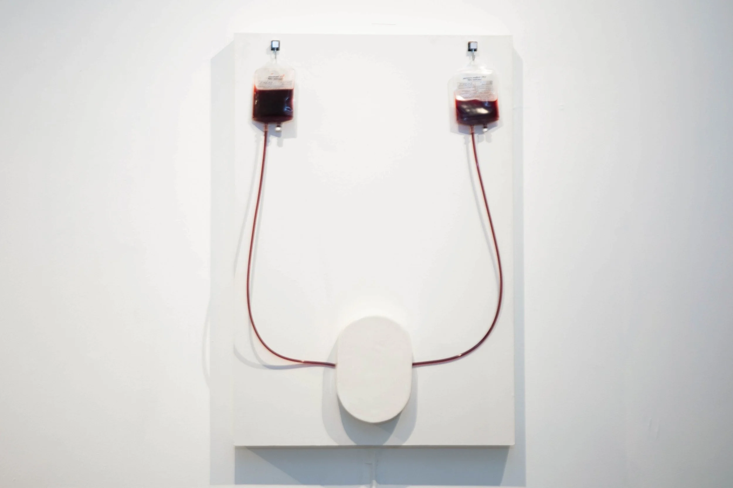 Patrick Bell
Pump
2025
IV bags, peristaltic pump, acrylic tubing, ceramic
36 x 24 x 48 in
91.44 x 60.96 x 121.92 cm
