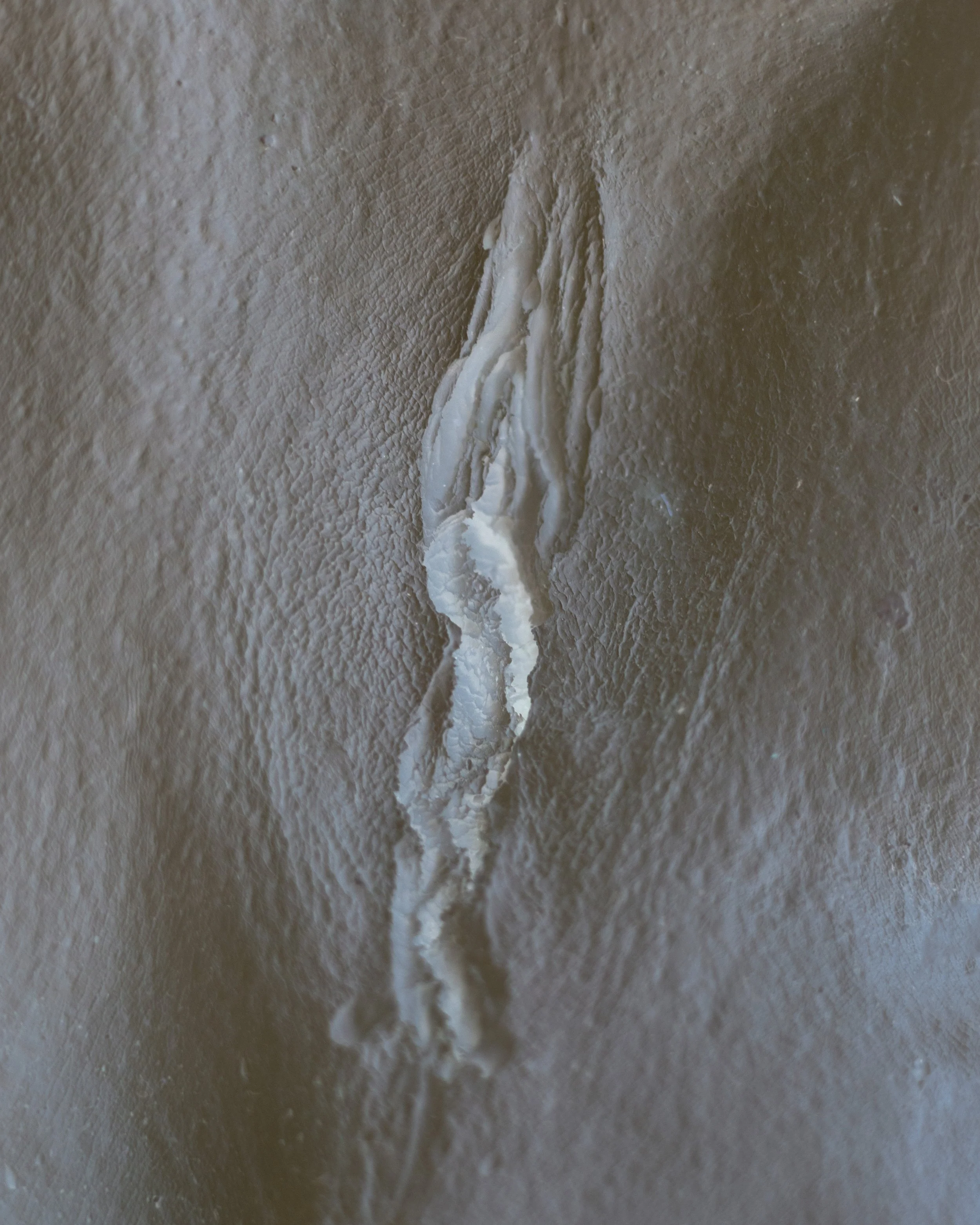 Untitled (Verso) 
2026
Archival pigment print on Canson Platine Rag
Edition of 5
20 x 16 inches
50.8 x 40.64 cm
CJR P3
