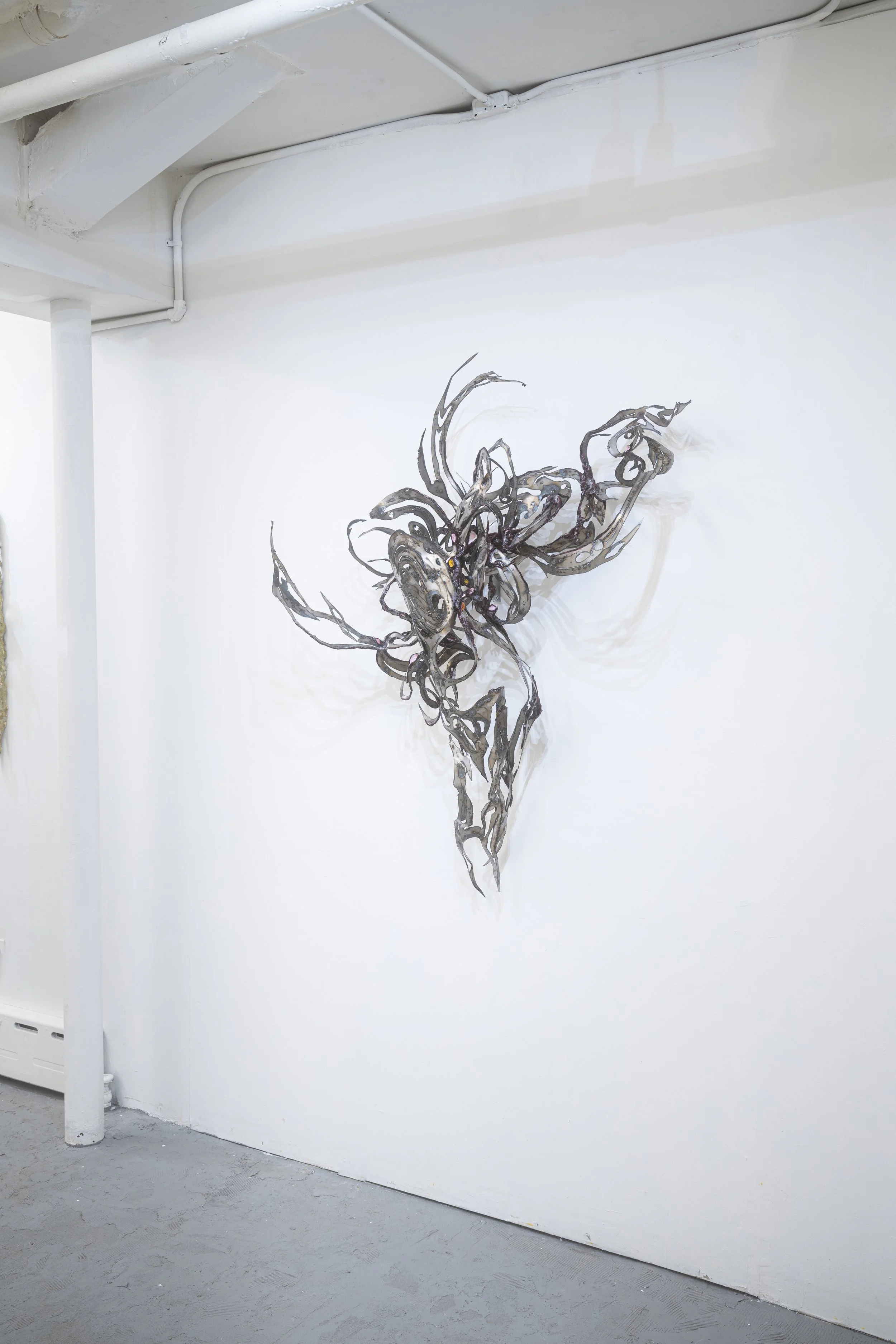 Cass Yao
Anatomy #5 (installation view)
2025
Steel, epoxy clay, velvet flocking, silicone,
zinc, mounting rail
37 x 54 x 16 in.
93.98 x 137.16 x 40.64