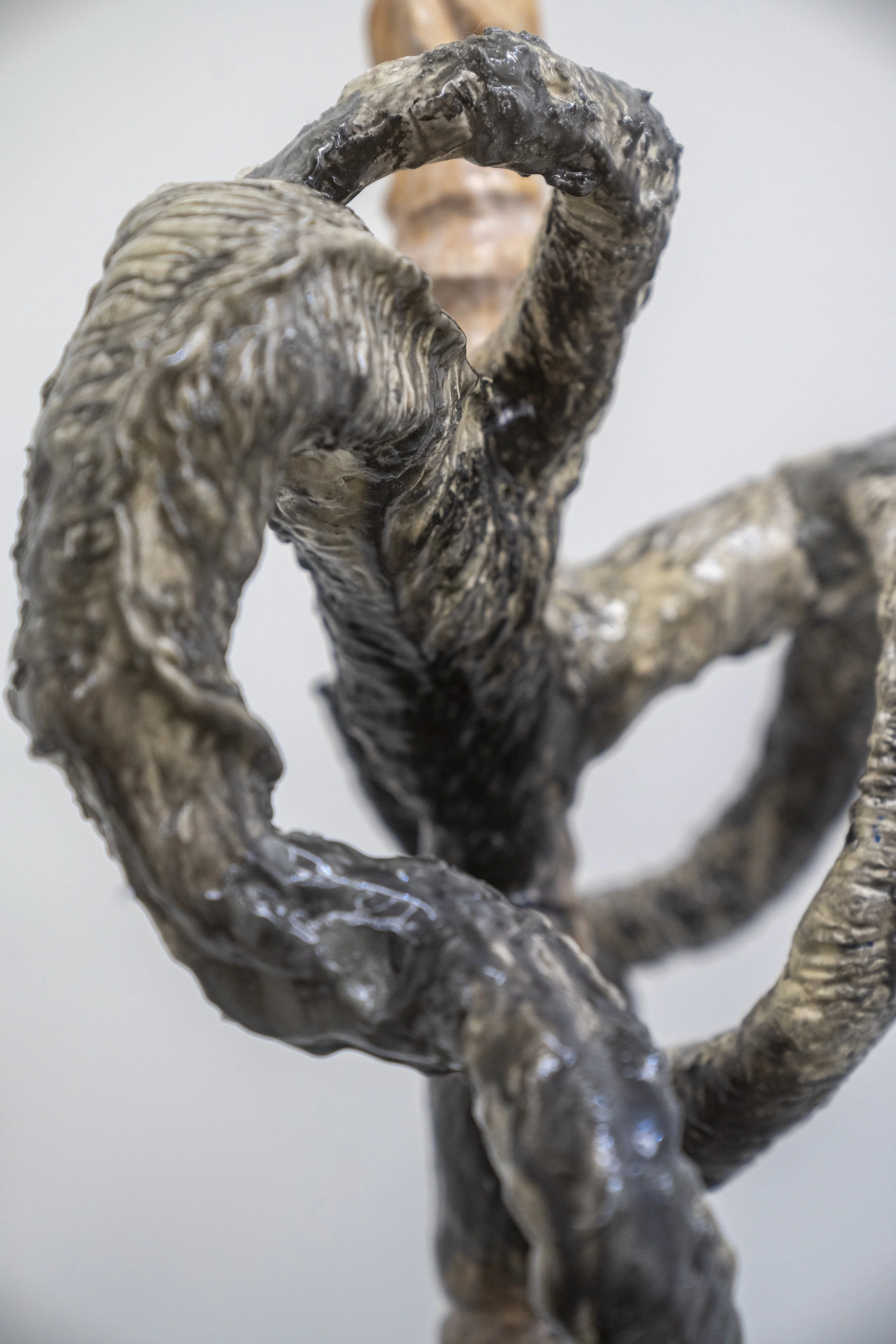 Echo Yan
Weresheep (detail)
2025 
Rubberwood, Resin, epoxy clay, paper clay
70.5 x 18.5 x 18.5 in.
179.07 × 46.99 × 46.99 cm.