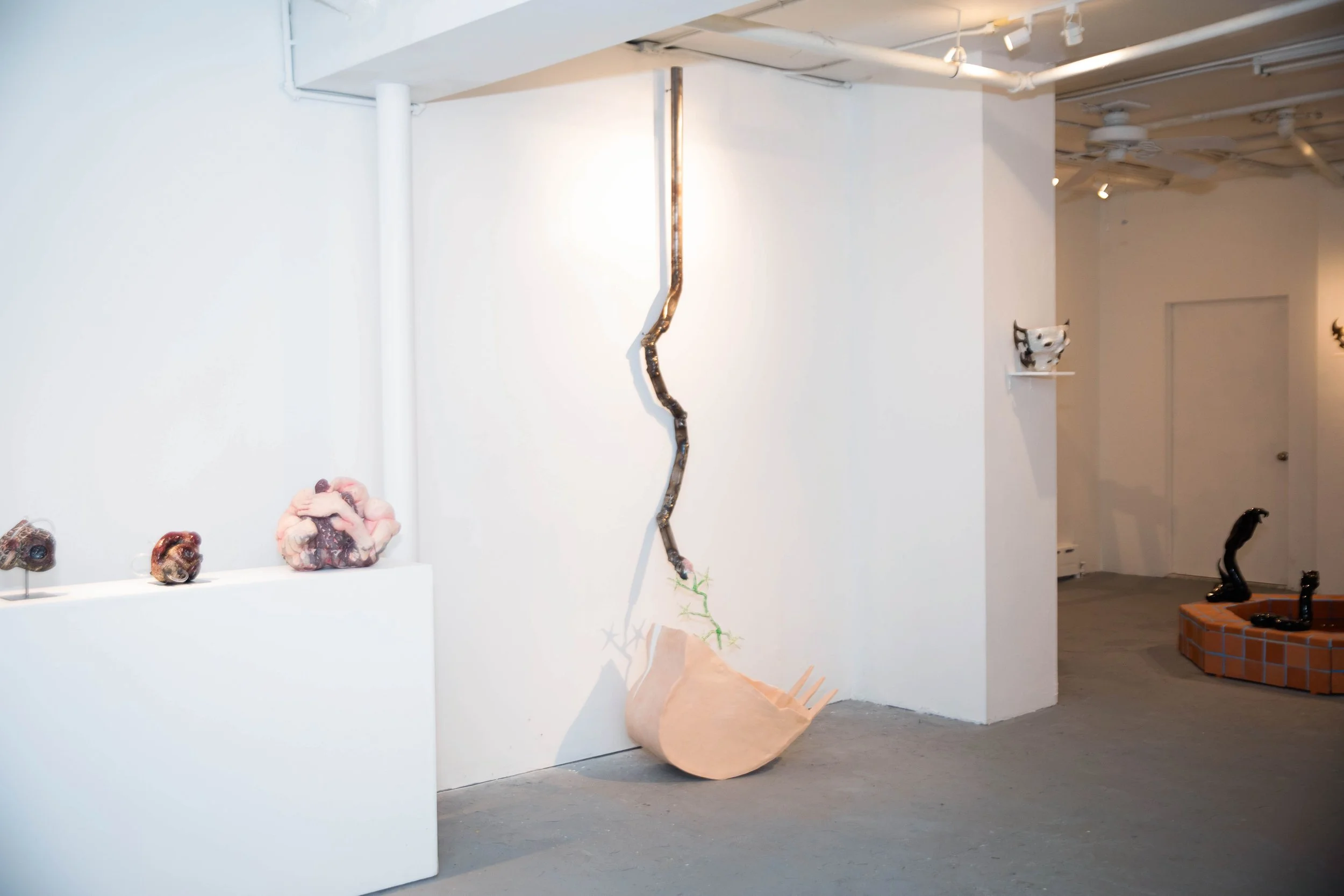 Installation view