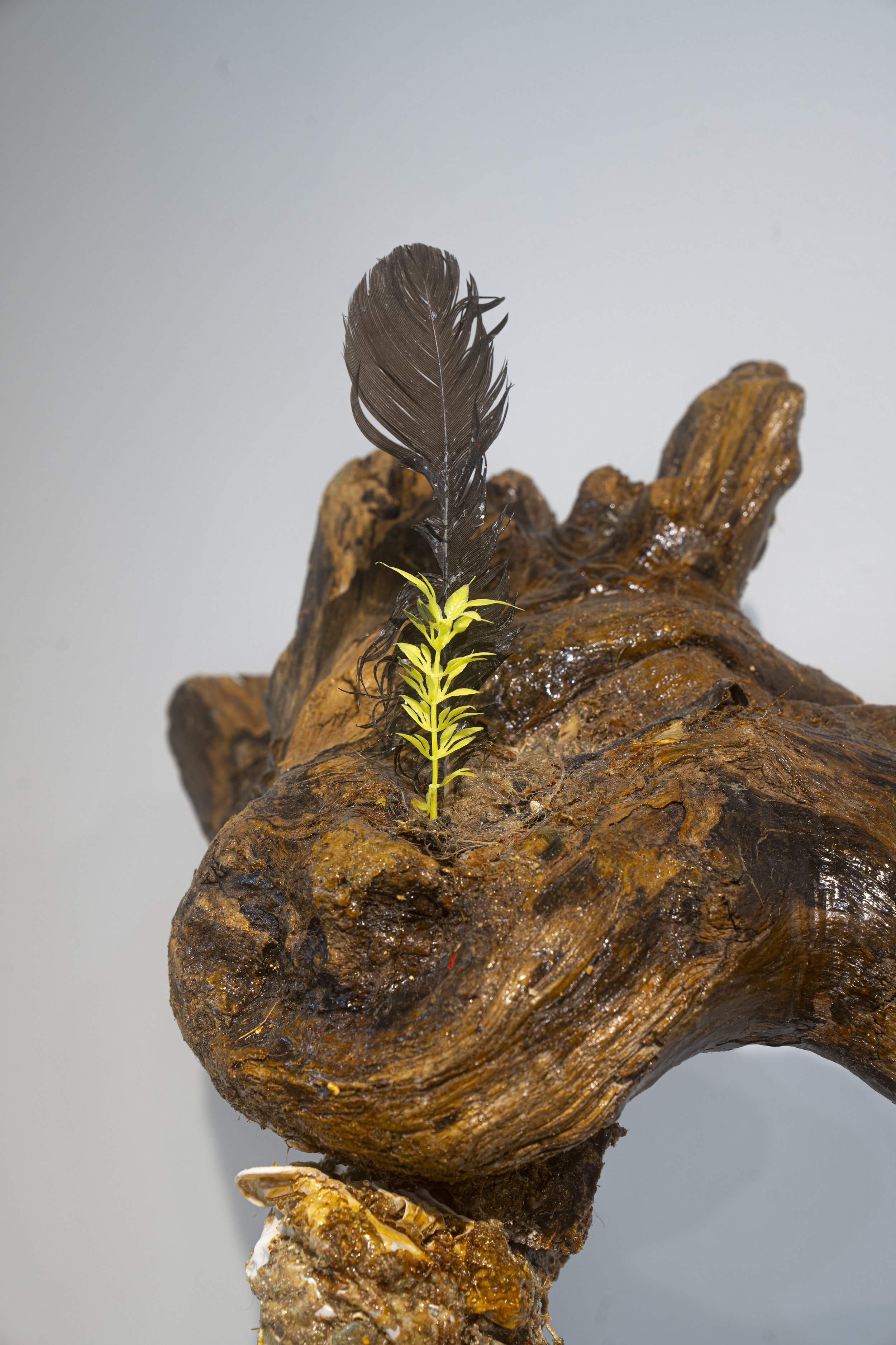 Rosalie Smith
trophy for wife of the future (detail), 2025
Driftwood, cables, trophy base, shells, feathers, debris,
shellac
14 x 19 x 8 inches
35.56 x 48.26 x 20.32 cm